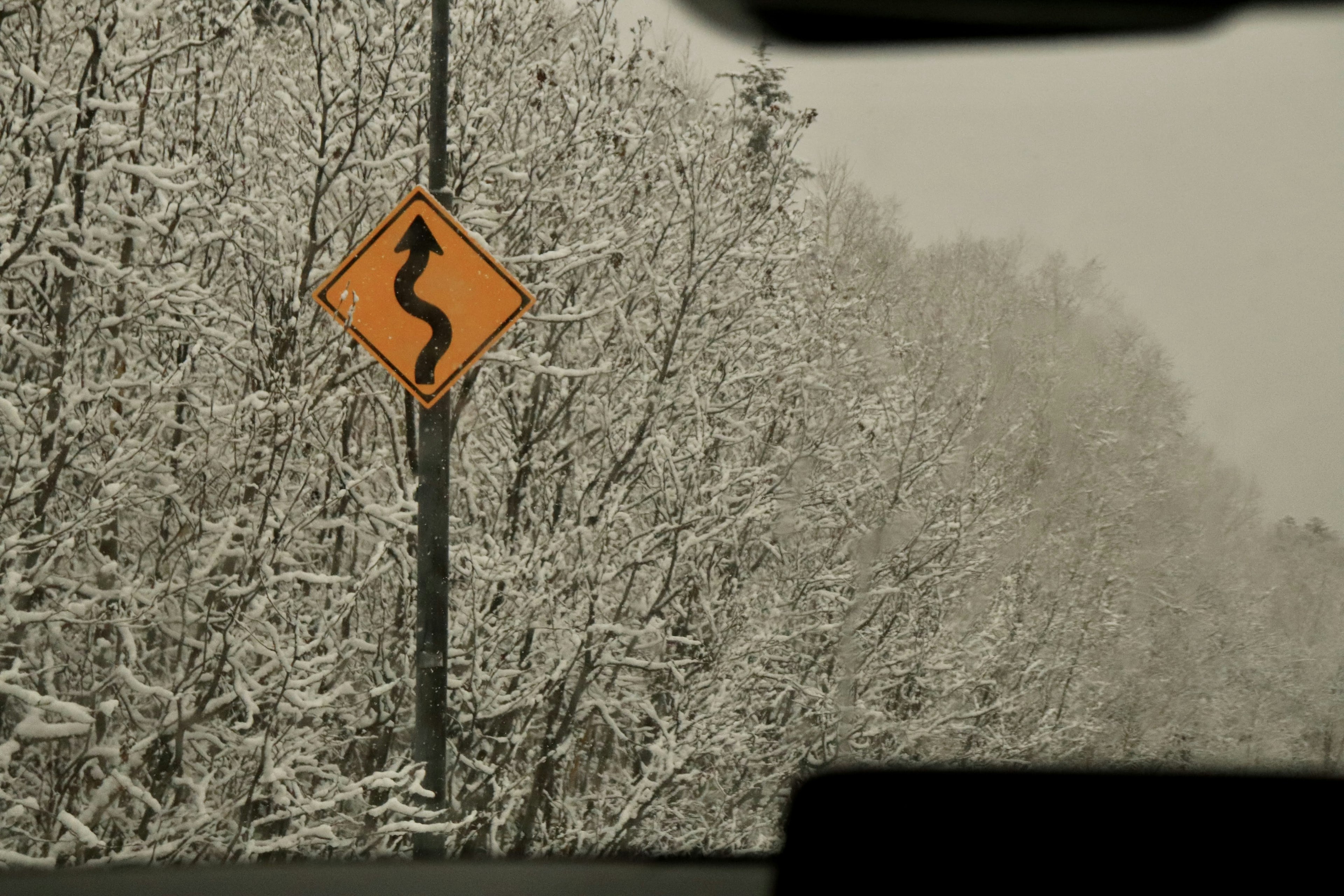 Vista invernale con alberi coperti di neve e un segnale stradale curvo