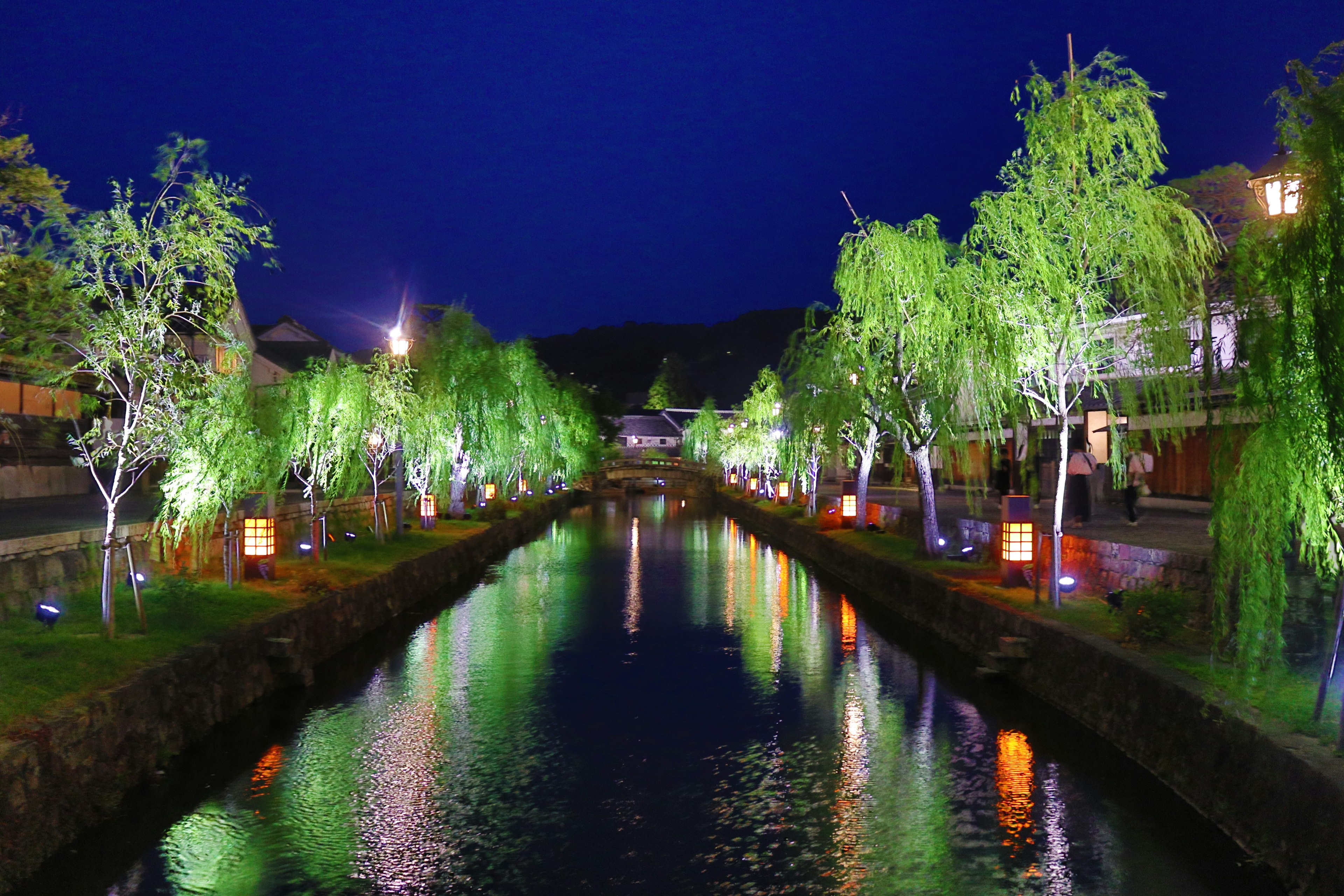 夜の川沿いに並ぶ緑の木々と灯りが映える美しい風景