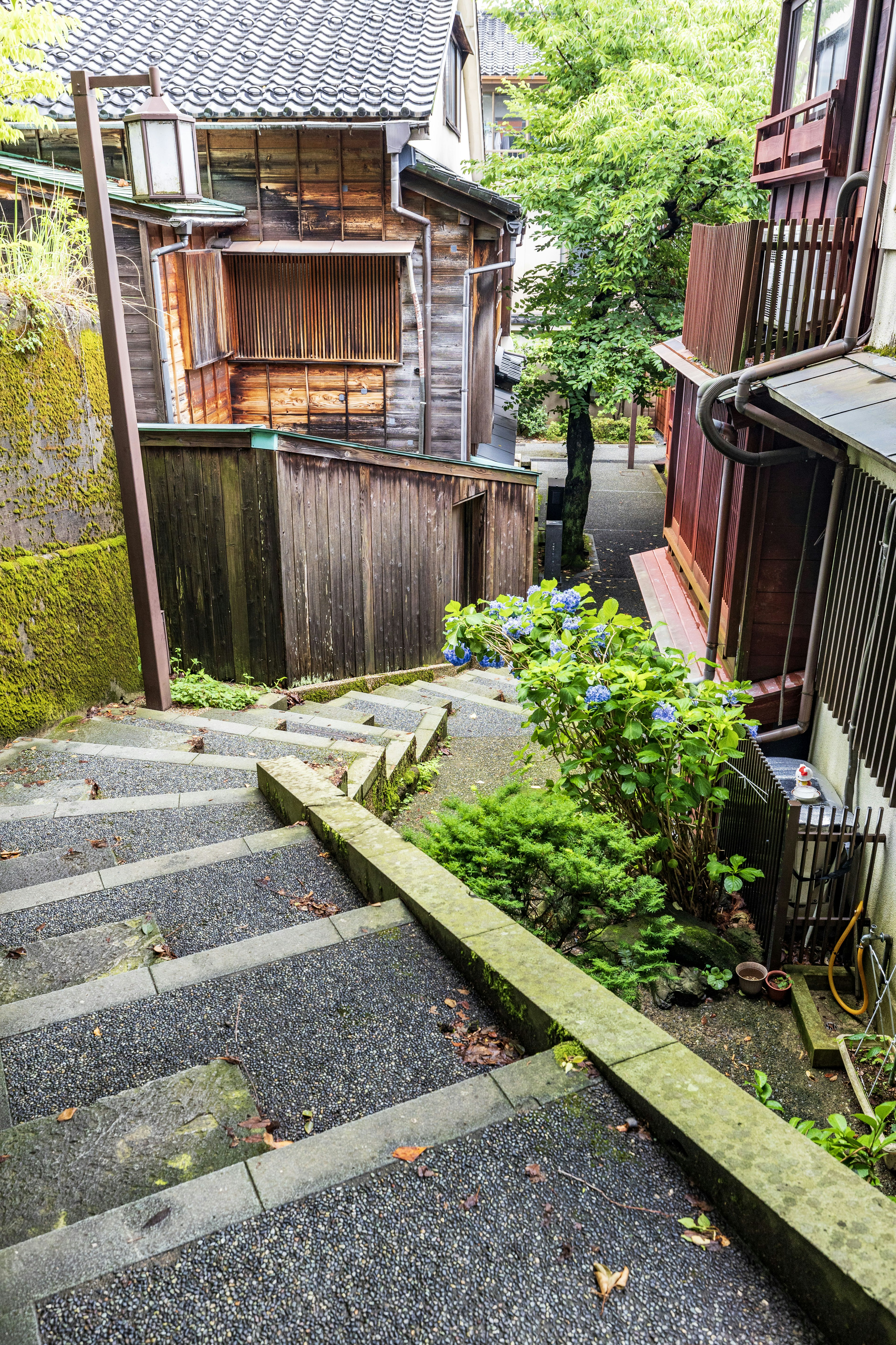 階段と緑の植物が特徴的な古い日本の街並み