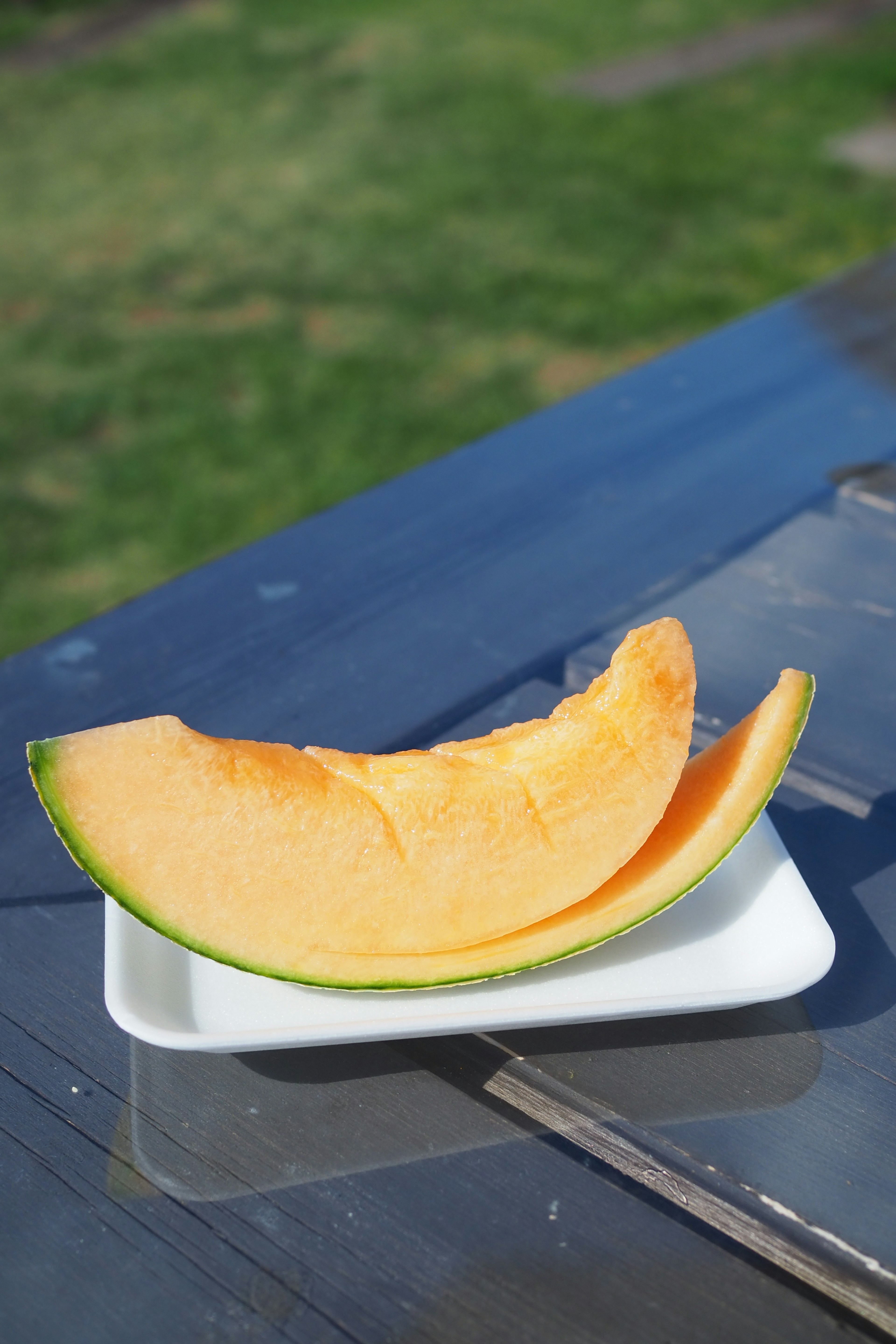 Fresh melon slices on a white plate