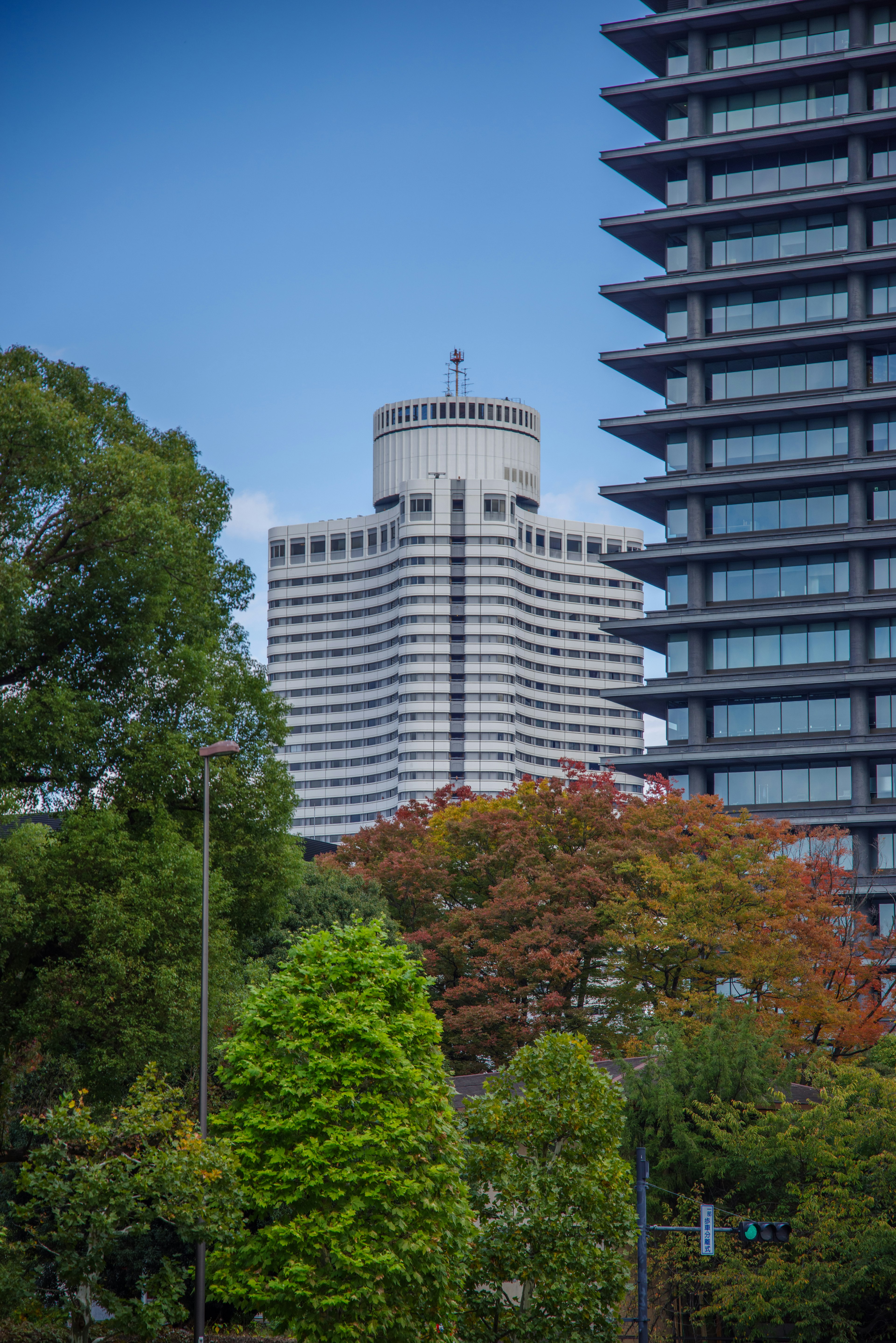 城市風景，包含高樓和綠樹