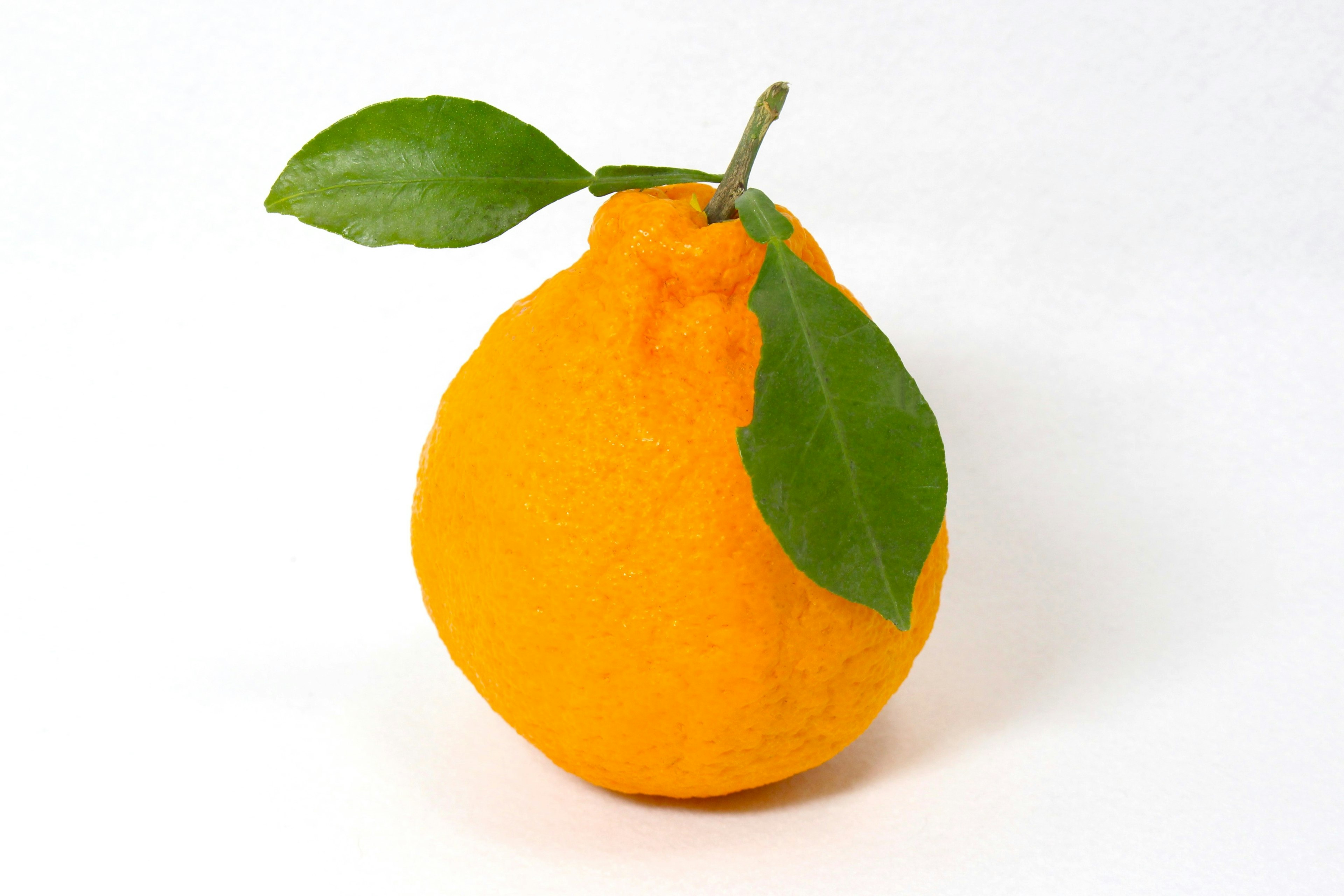 Orange fruit with green leaves attached