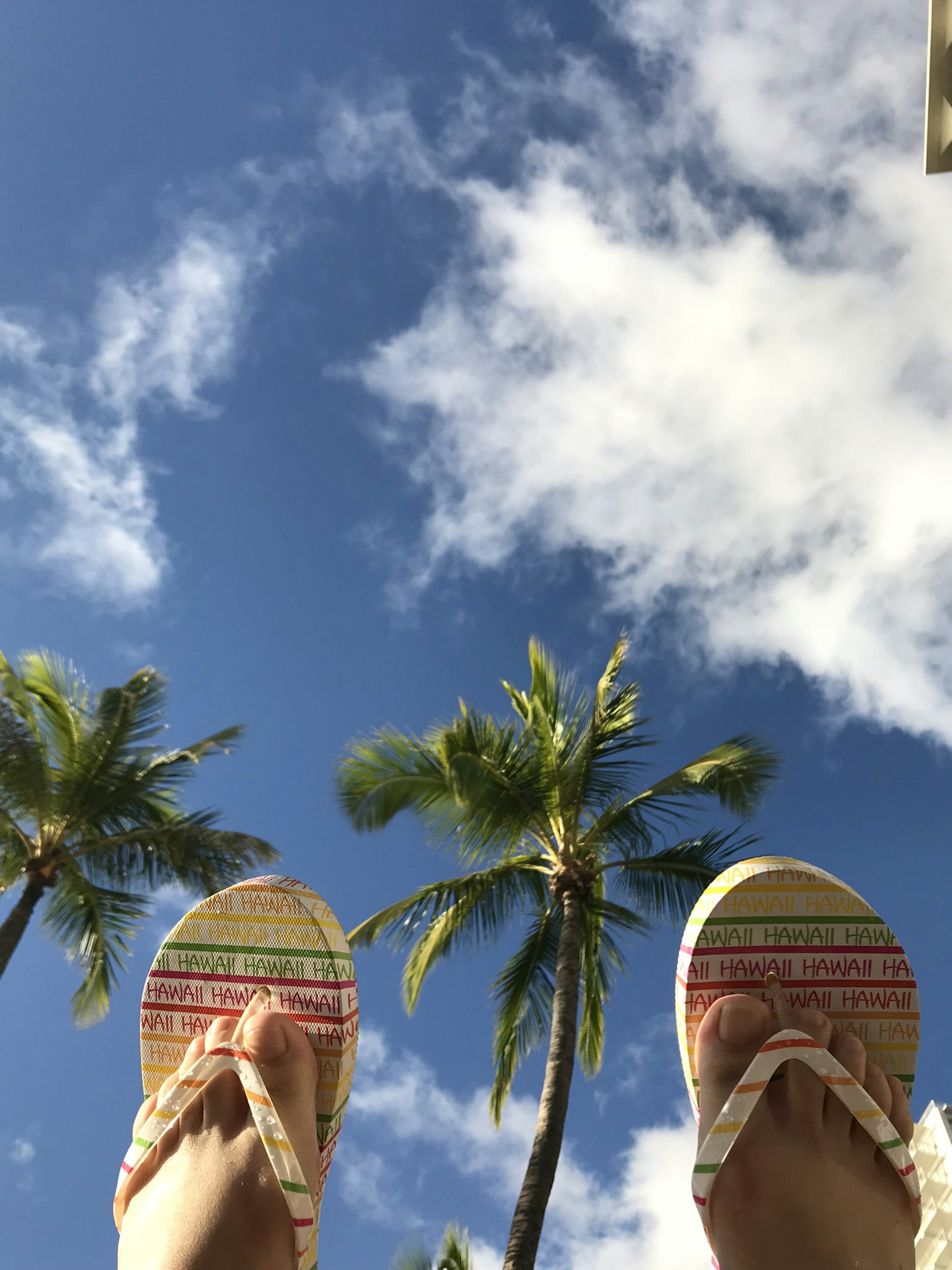 Badesandalen unter einem blauen Himmel mit weißen Wolken und Palmen