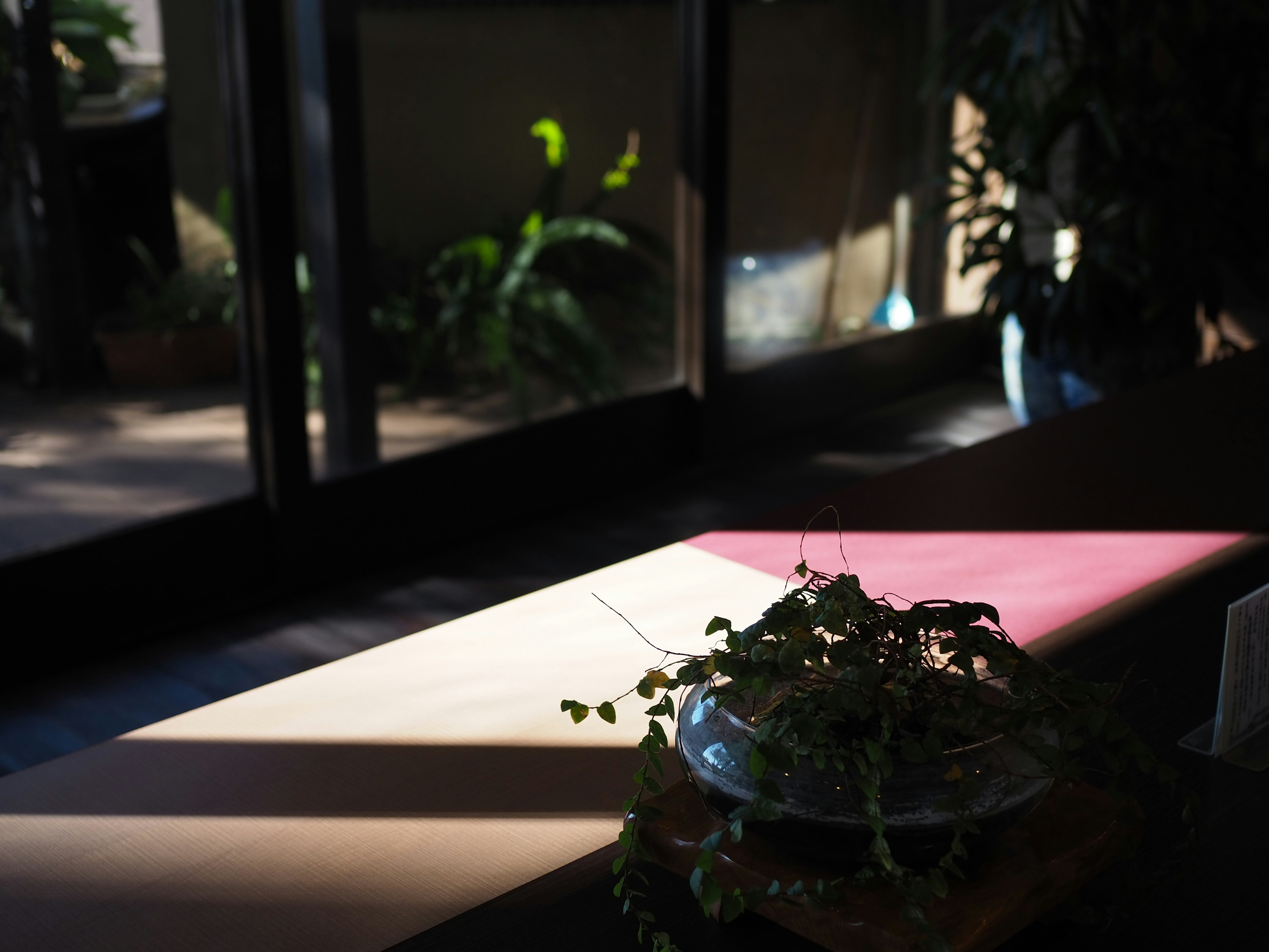 Una esquina de una habitación con luz solar destacando una maceta y una mesa