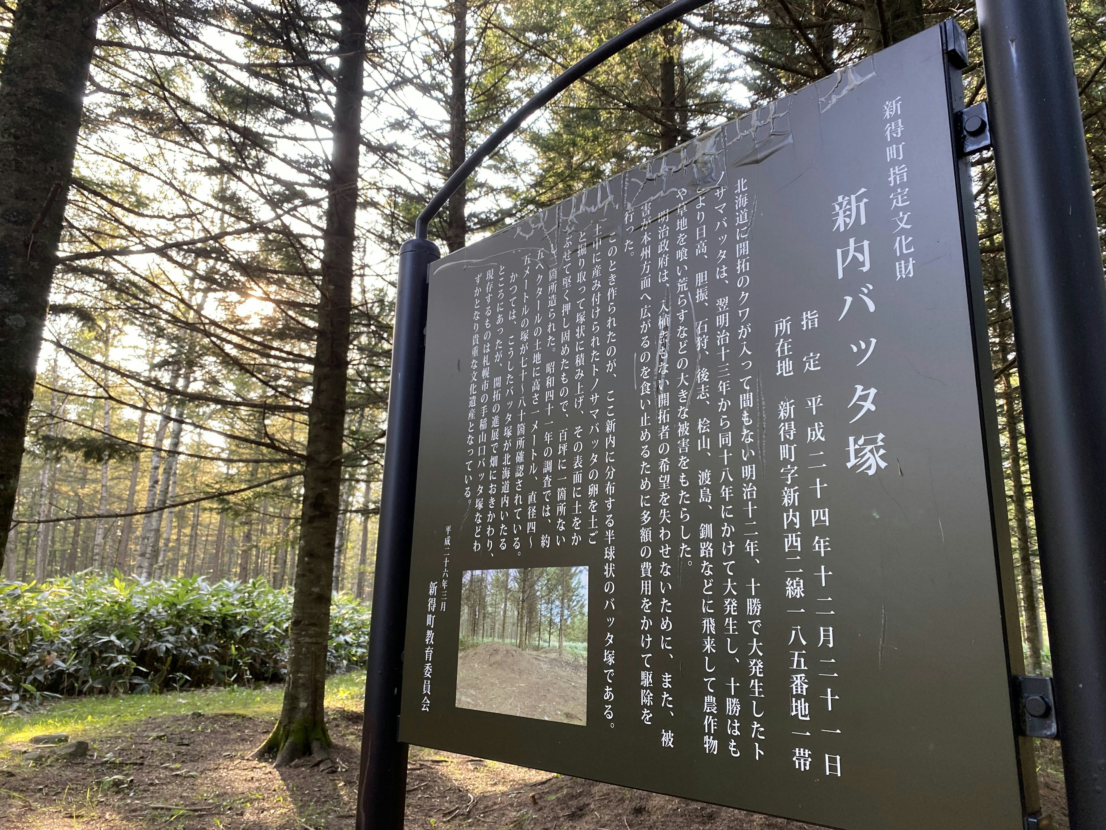 Immagine di un cartello informativo in una foresta con testo dettagliato