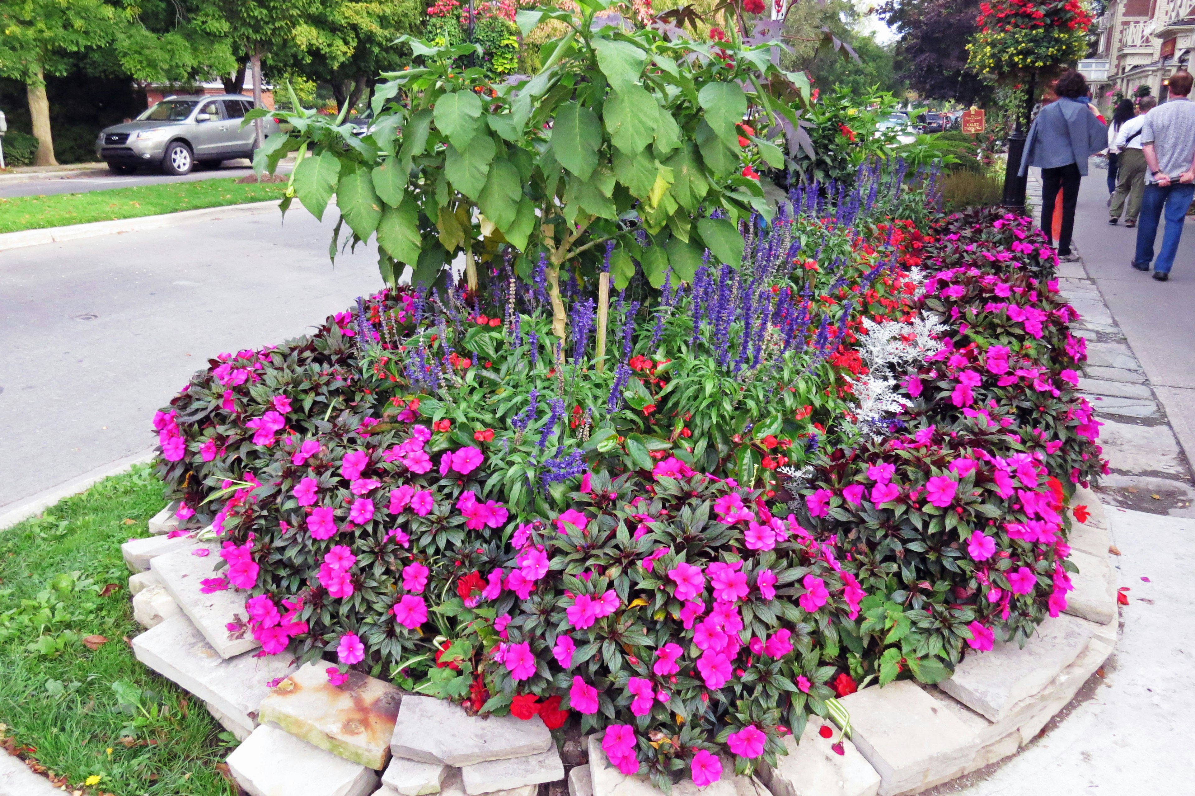 Parterre de fleurs coloré entourant un arbre de rue