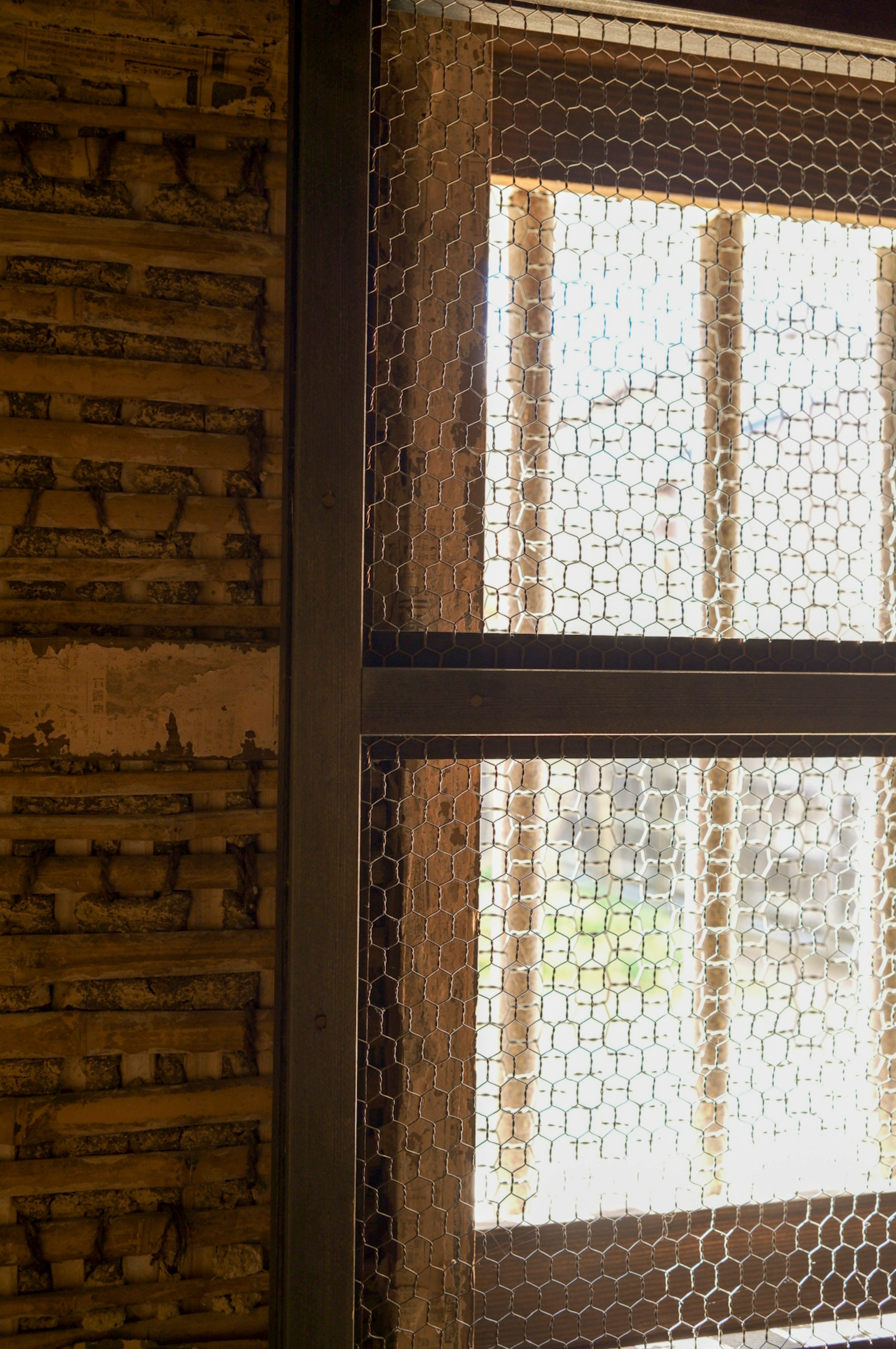 Vista interior que muestra una ventana con malla en forma de panal y pared decorada