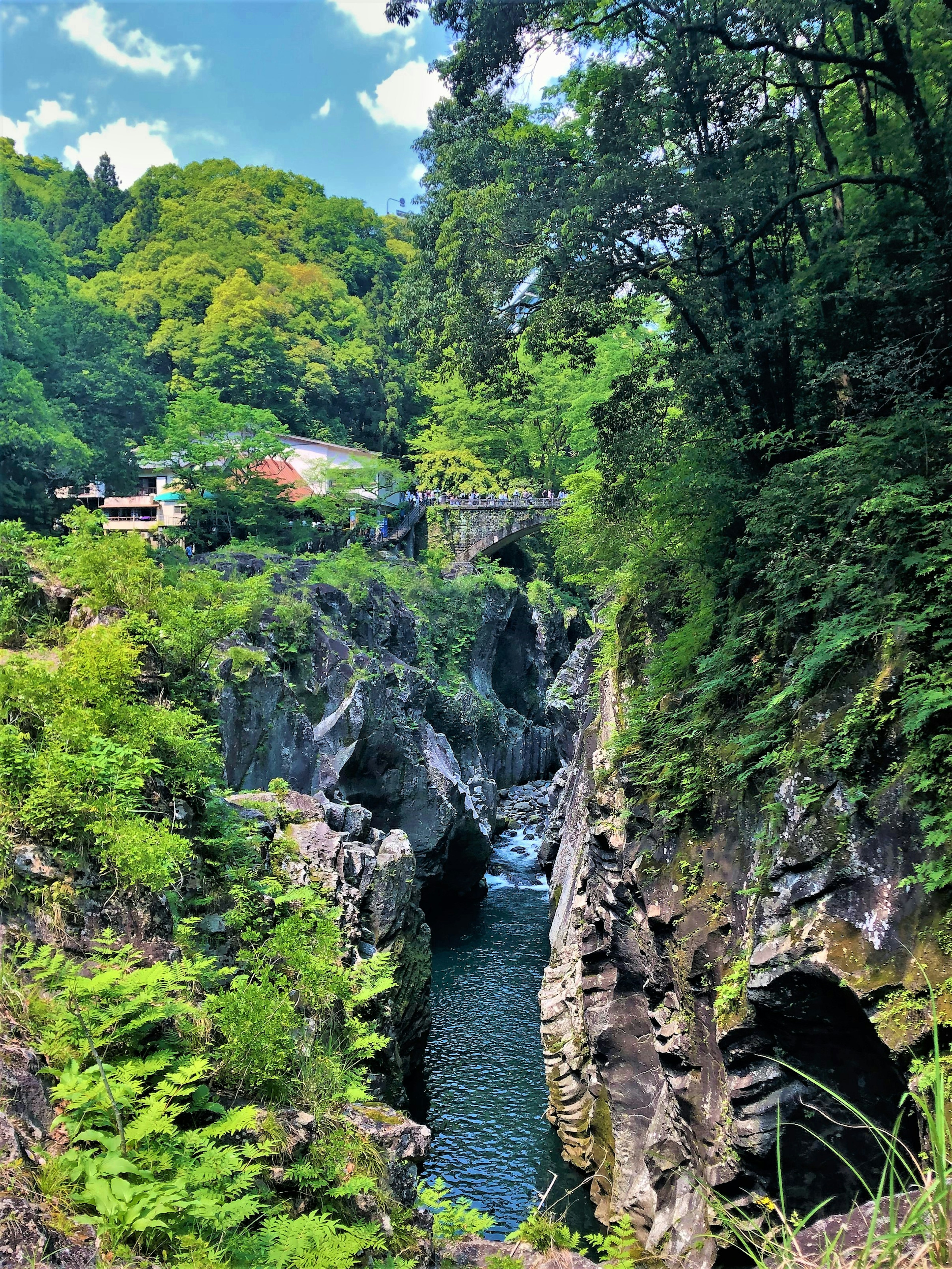 Vista panoramica di un canyon circondato da vegetazione lussureggiante con rocce e acqua che scorre