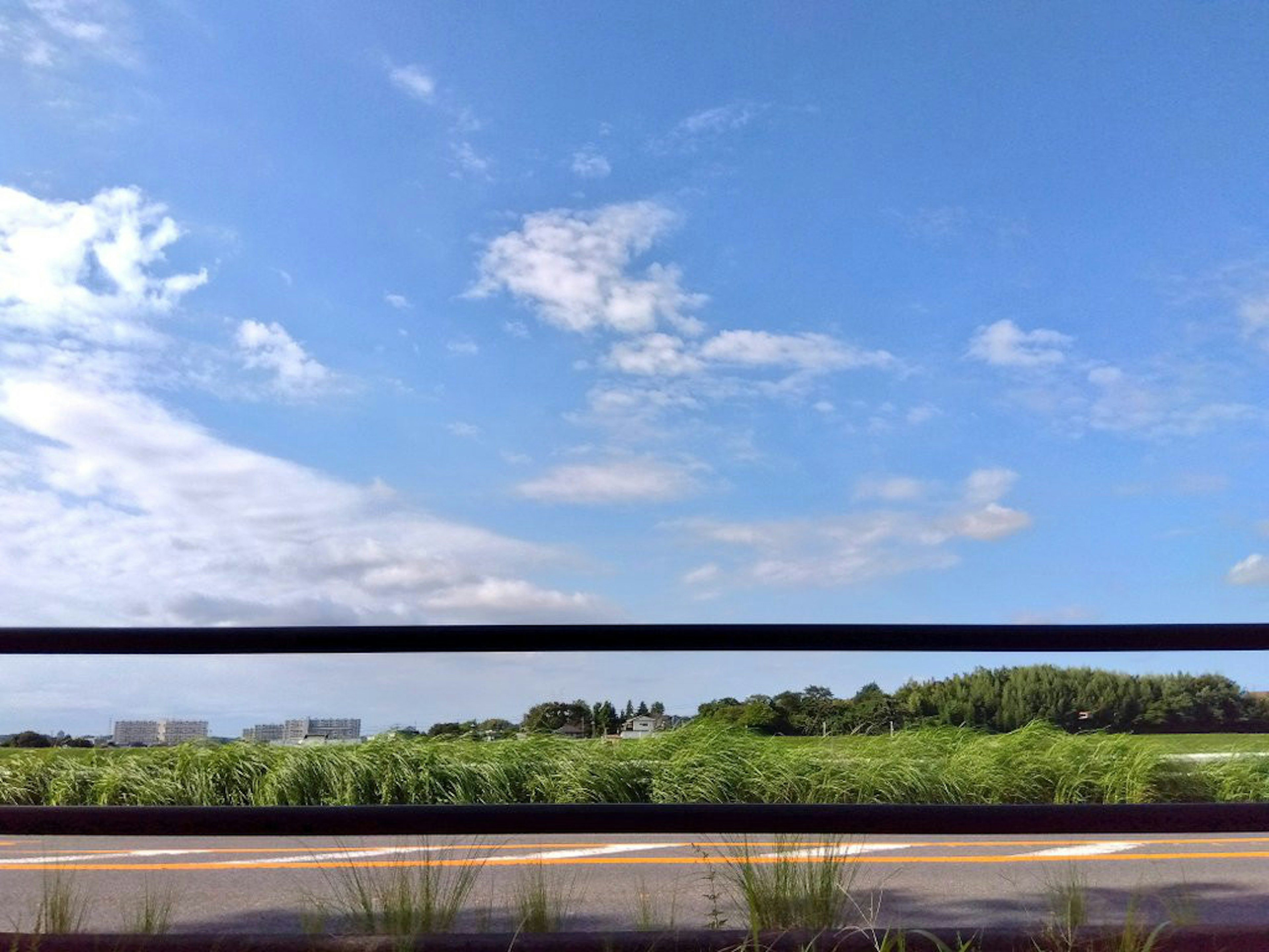 A landscape featuring a blue sky and lush greenery with a black fence in the foreground