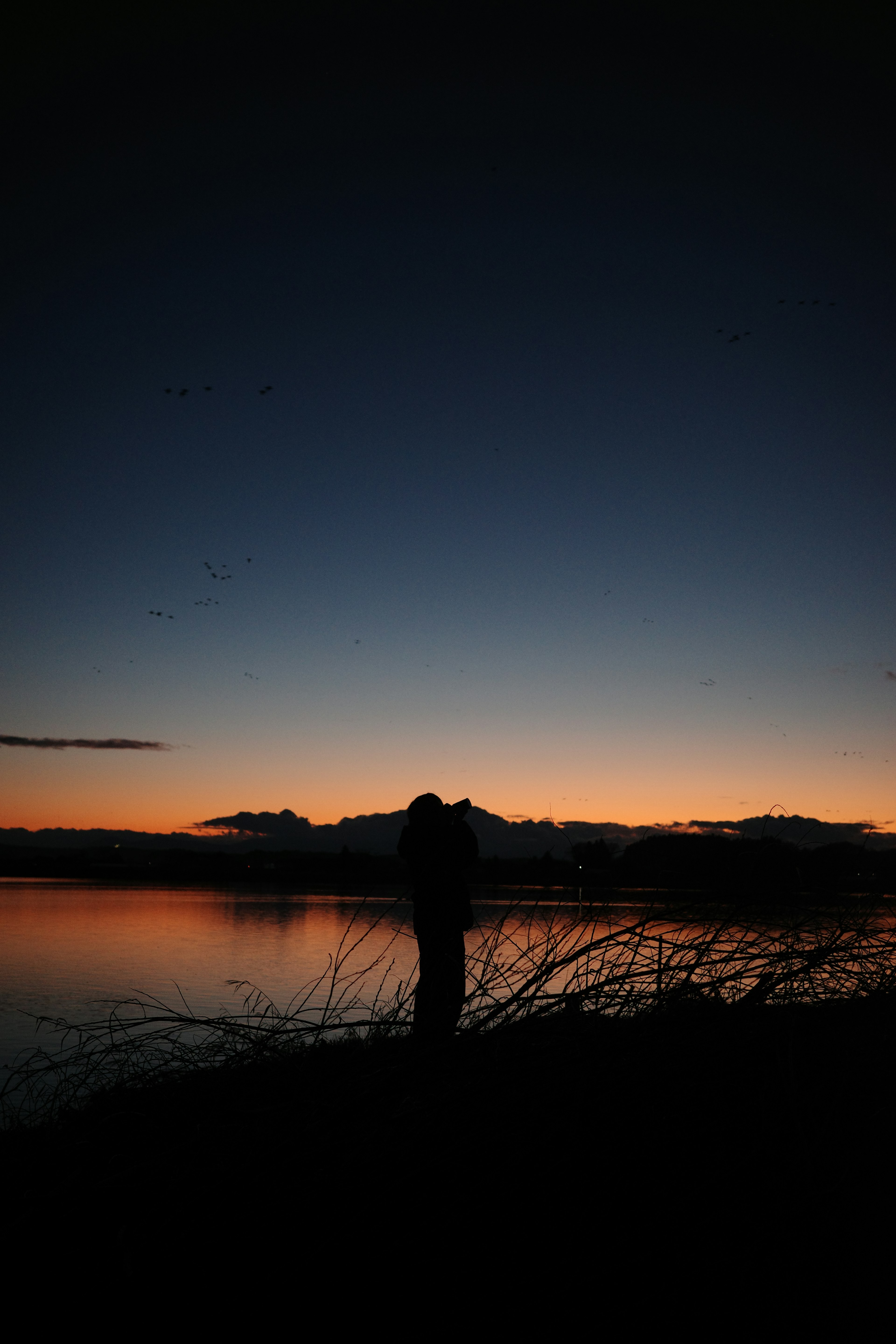 夕暮れの湖のほとりに立つシルエットの人物