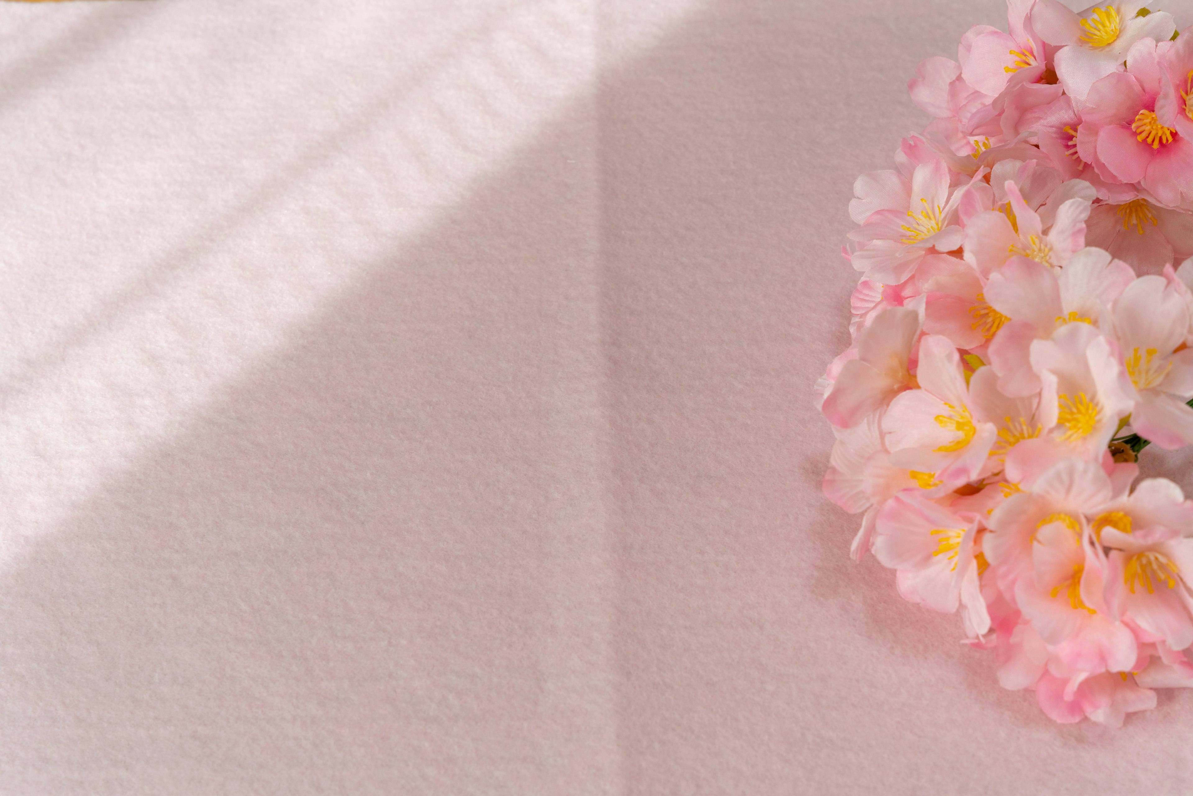 Bellissimo arrangiamento di fiori rosa su una superficie di tessuto morbido