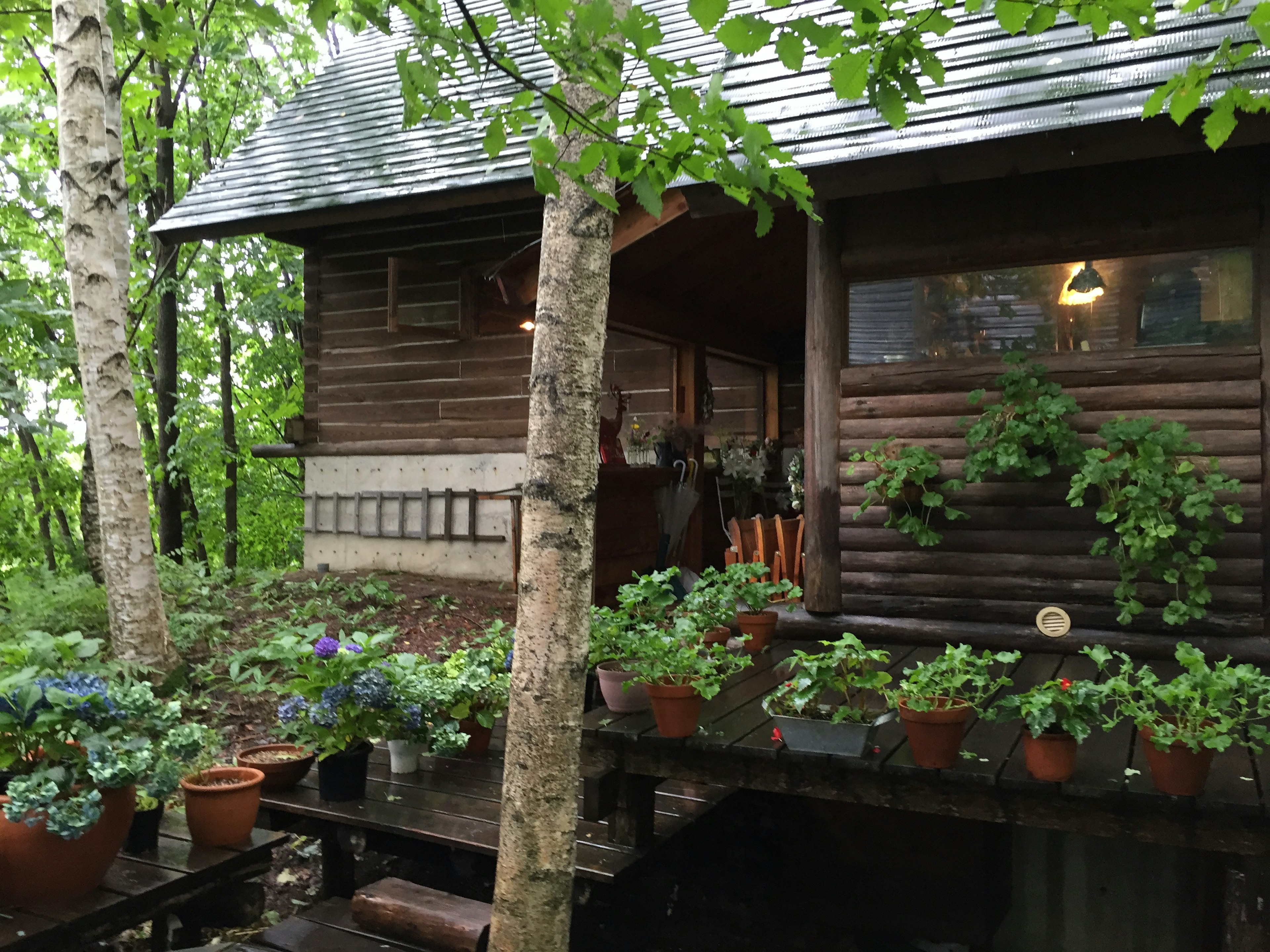 Wooden cabin surrounded by greenery with potted flowers