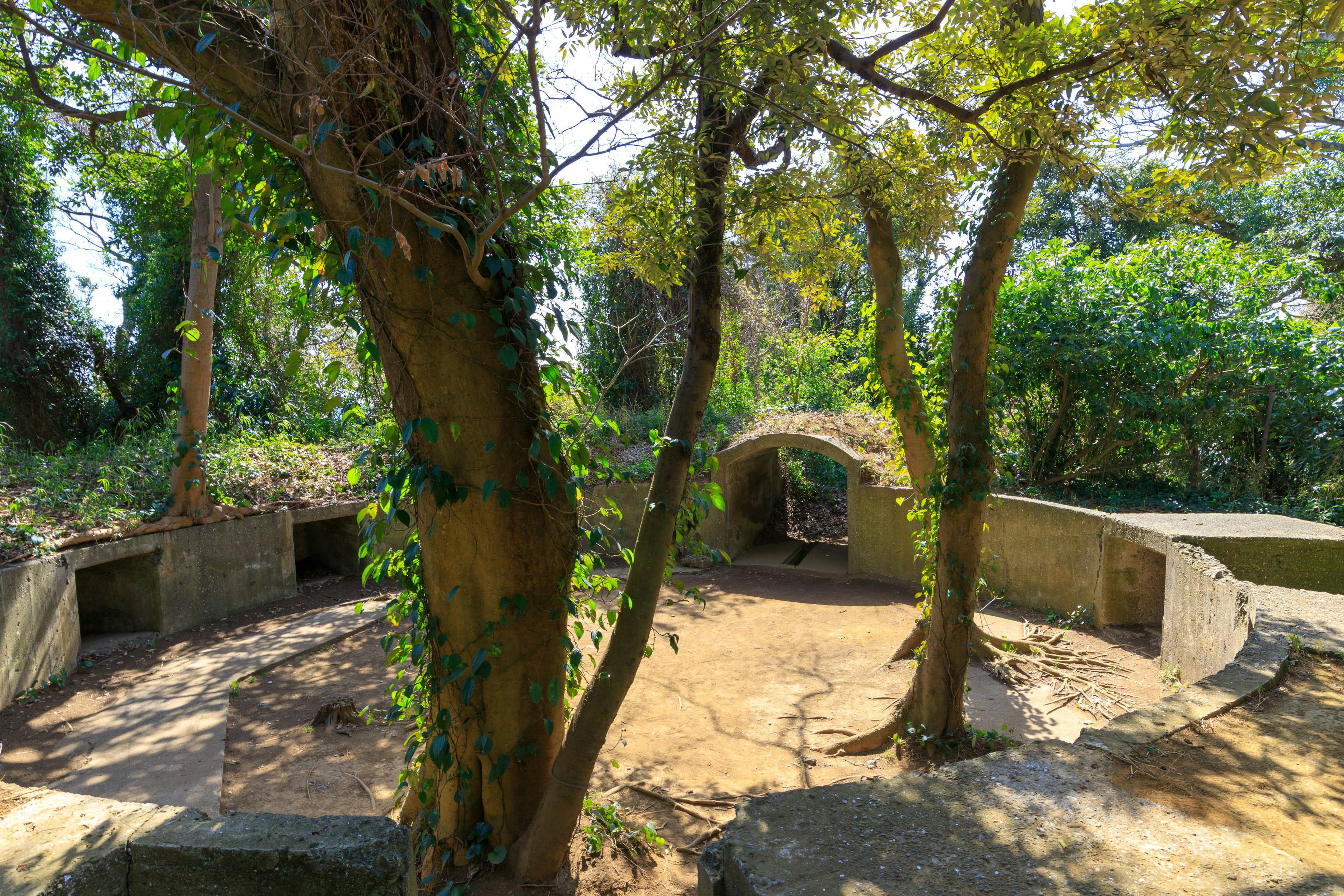 Vista escénica con estructuras de concreto rodeadas de vegetación exuberante y árboles