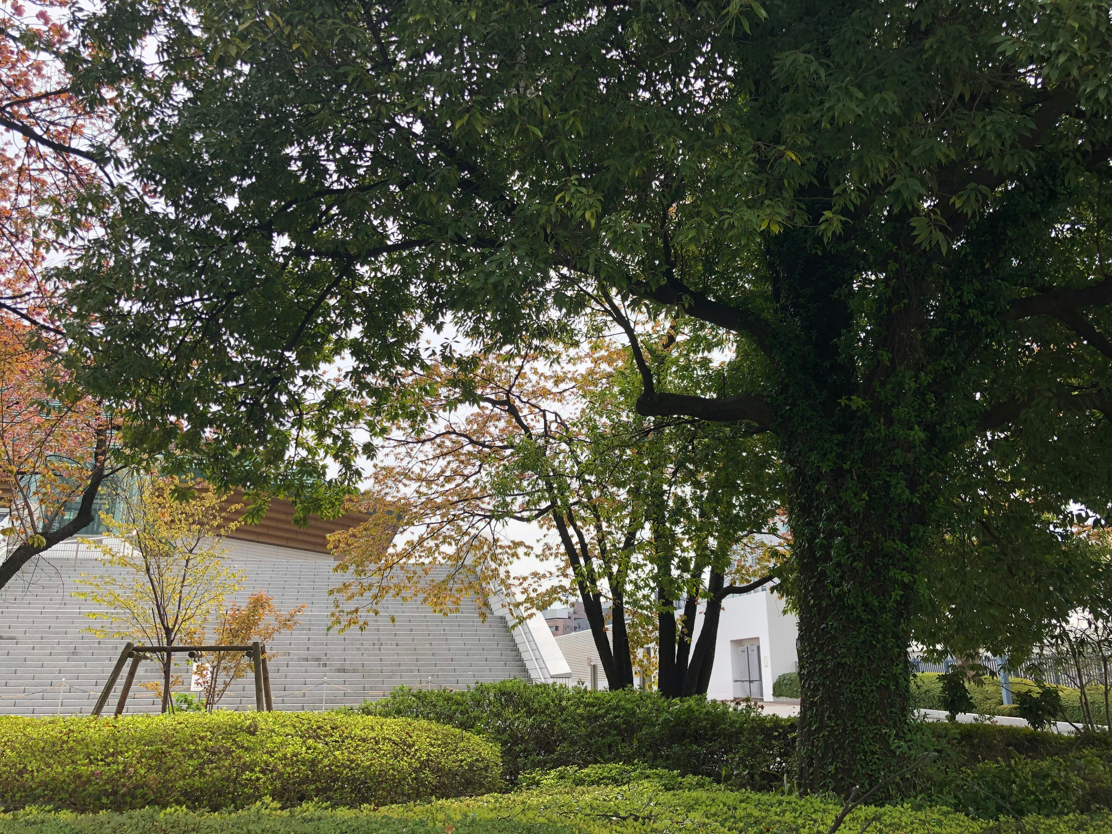 緑の木々と遊具がある公園の風景