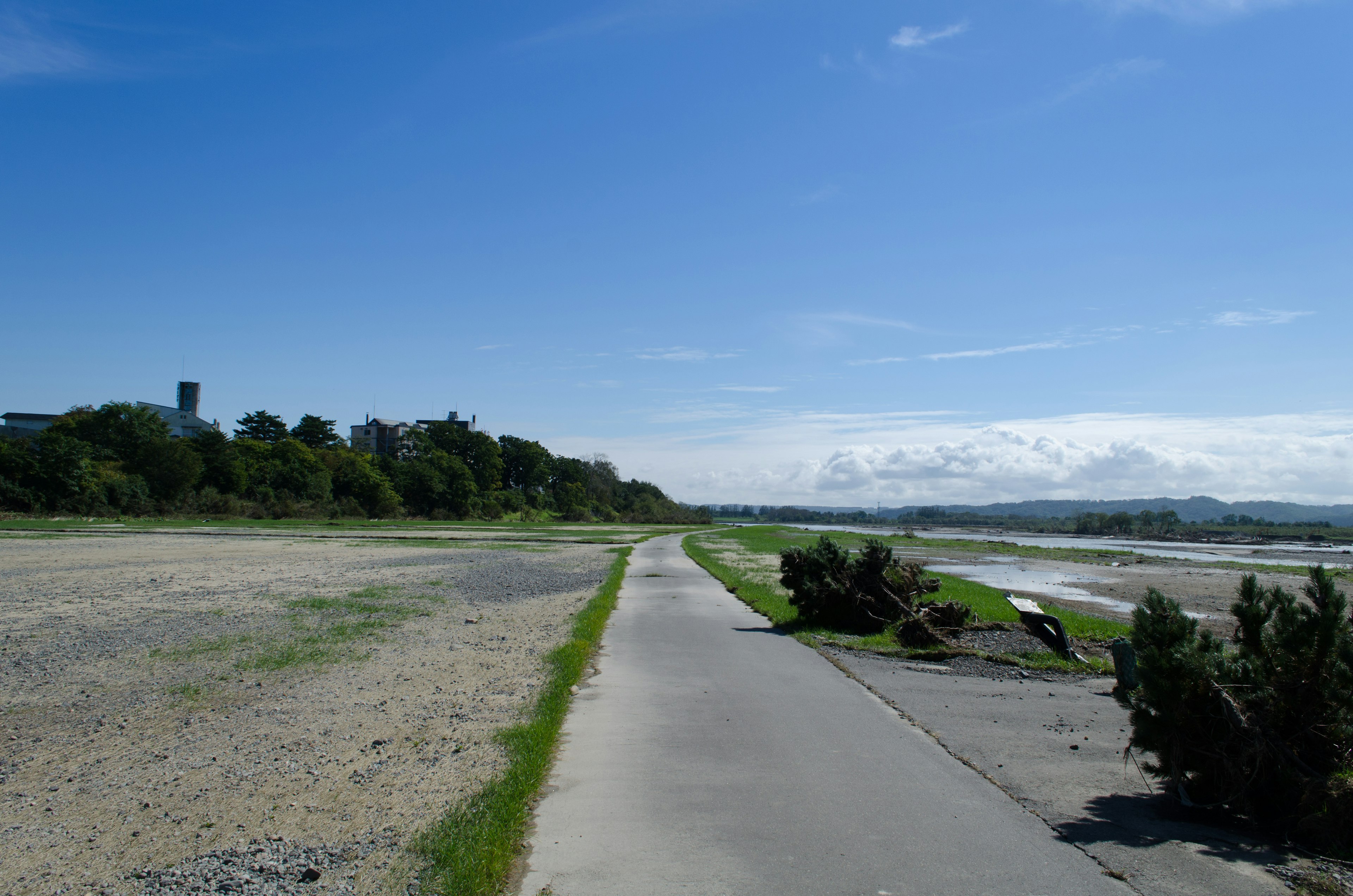 青空の下に広がる川沿いの遊歩道と自然の風景