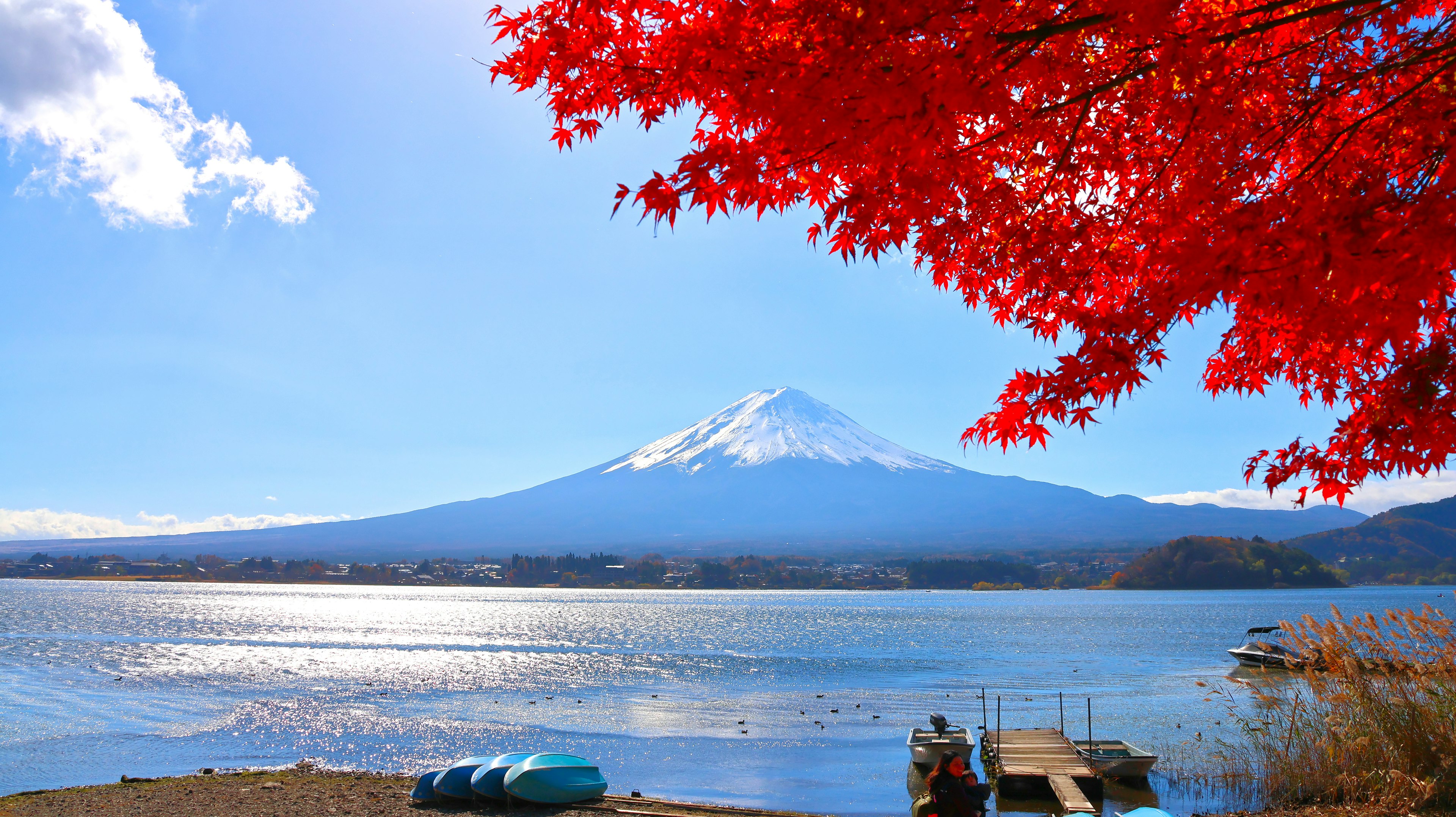 富士山背景下鮮豔紅葉和湖泊的風景