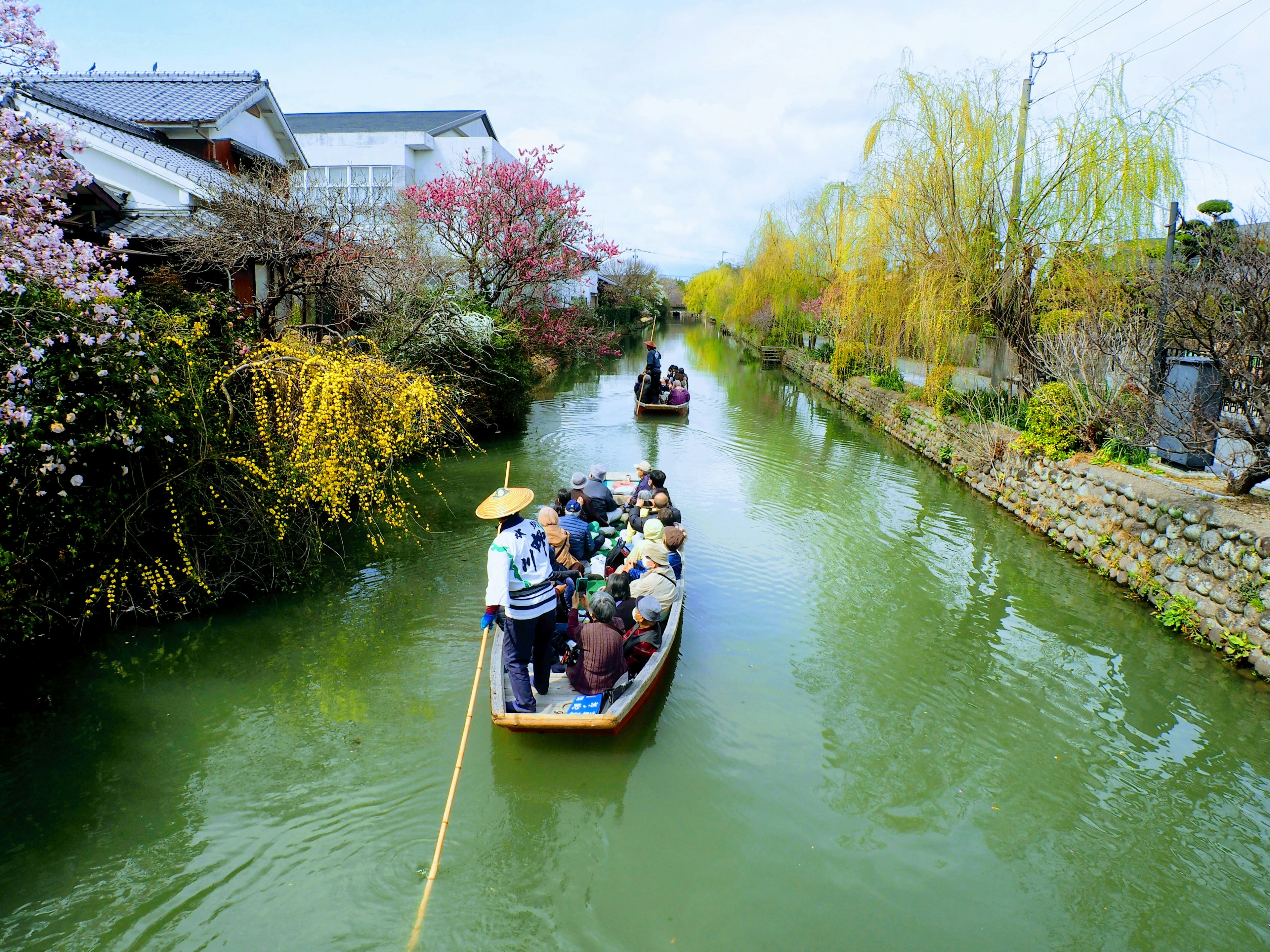 Touristen auf einem Boot, das einen schönen Kanal mit Kirschblüten und Weidenbäumen entlangfährt