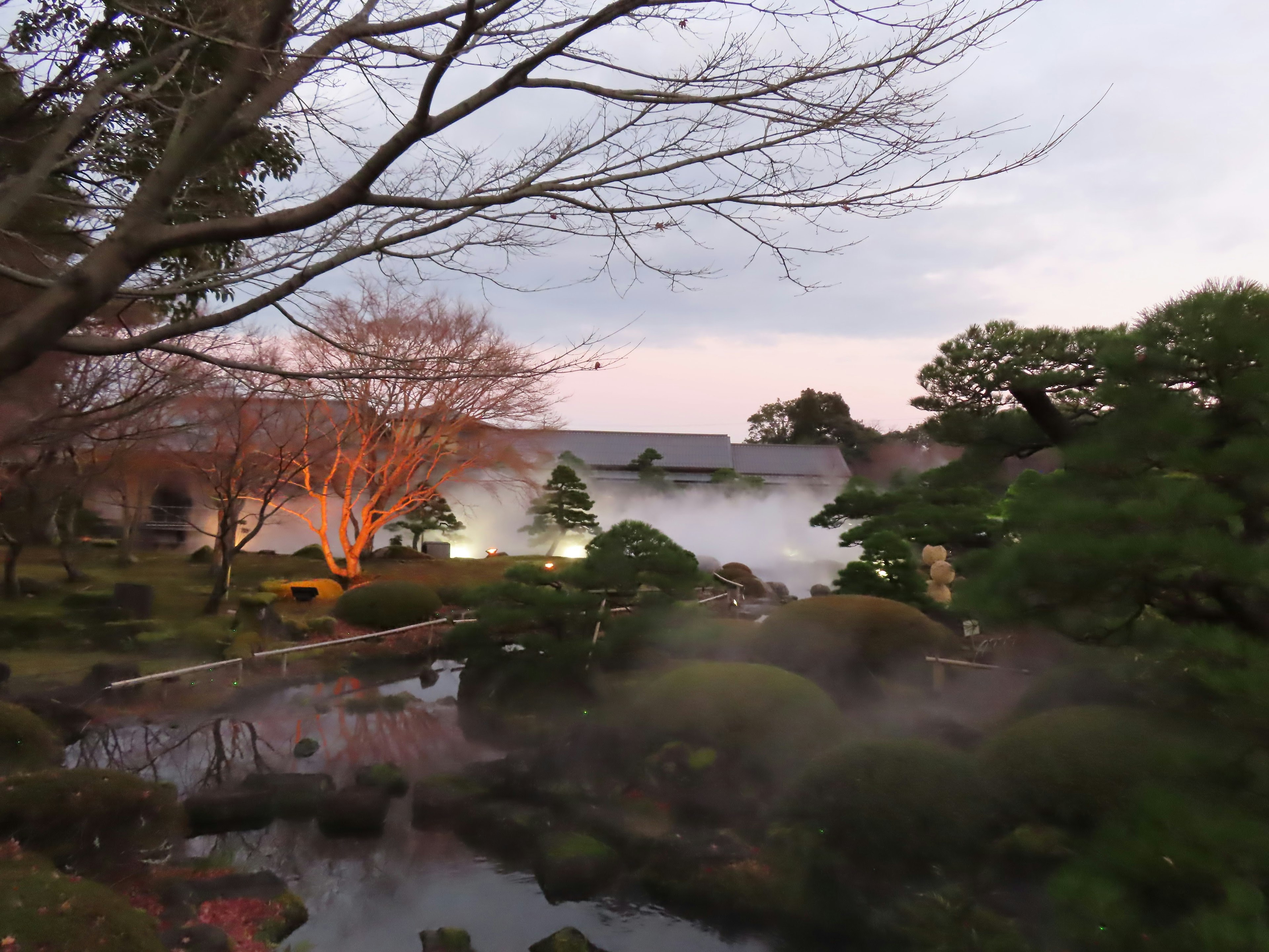 Belle vue d'un jardin japonais au crépuscule avec de la brume