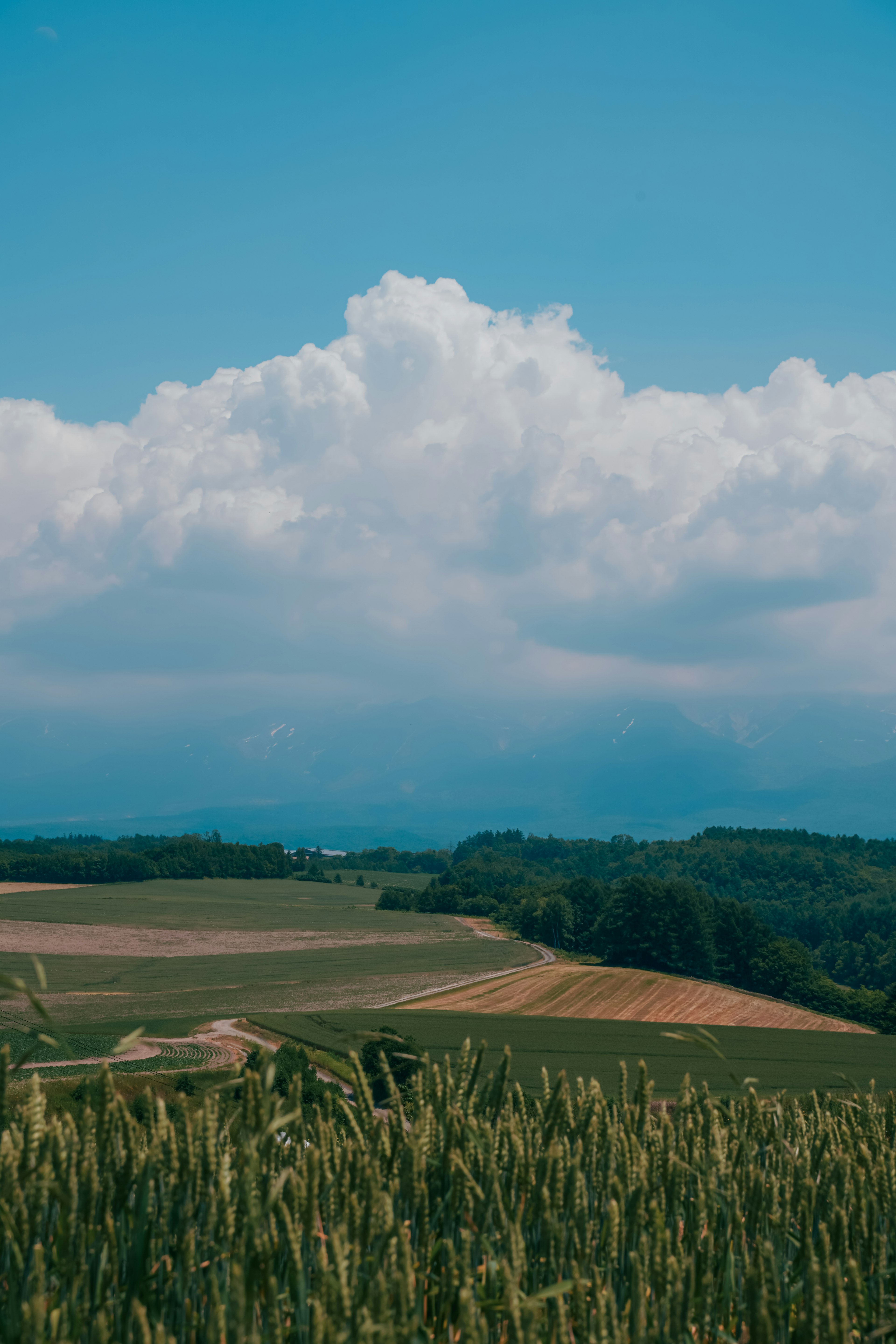 Weite Landschaft mit blauem Himmel und fluffigen weißen Wolken Grüne Felder erstrecken sich bis zum Horizont mit fernen Bergen