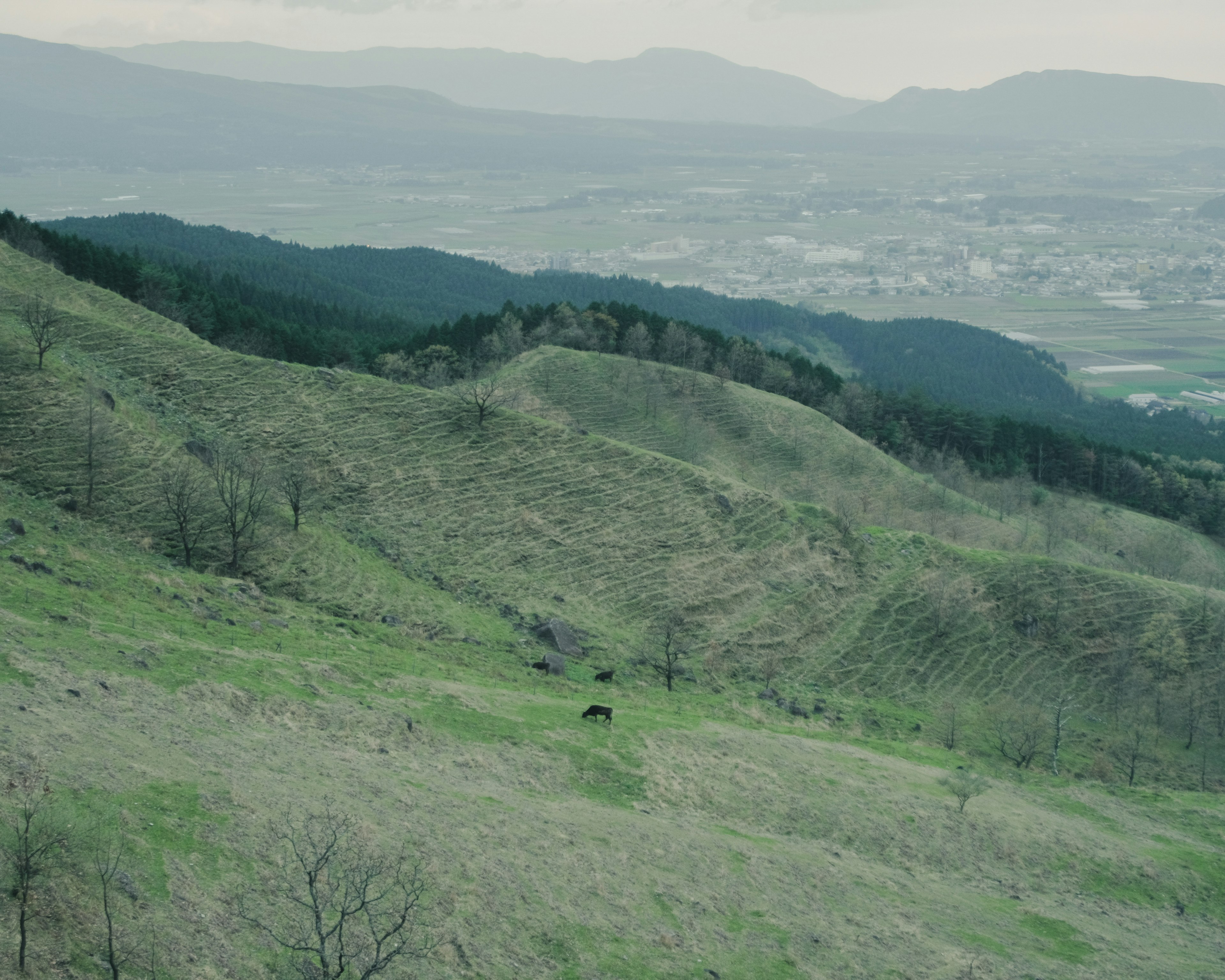 緑の丘陵と遠くの町の風景