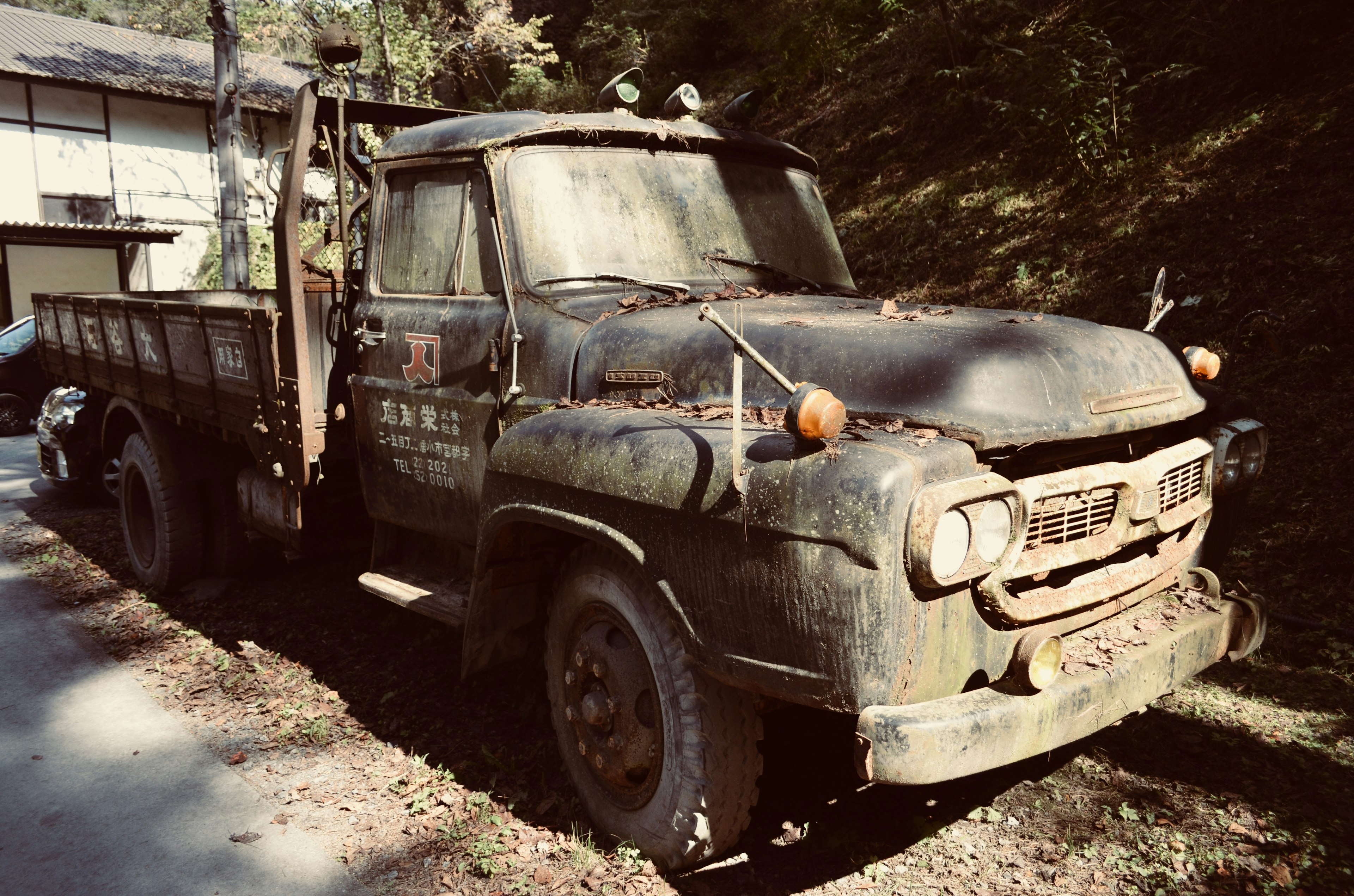 Camión viejo estacionado en el bosque