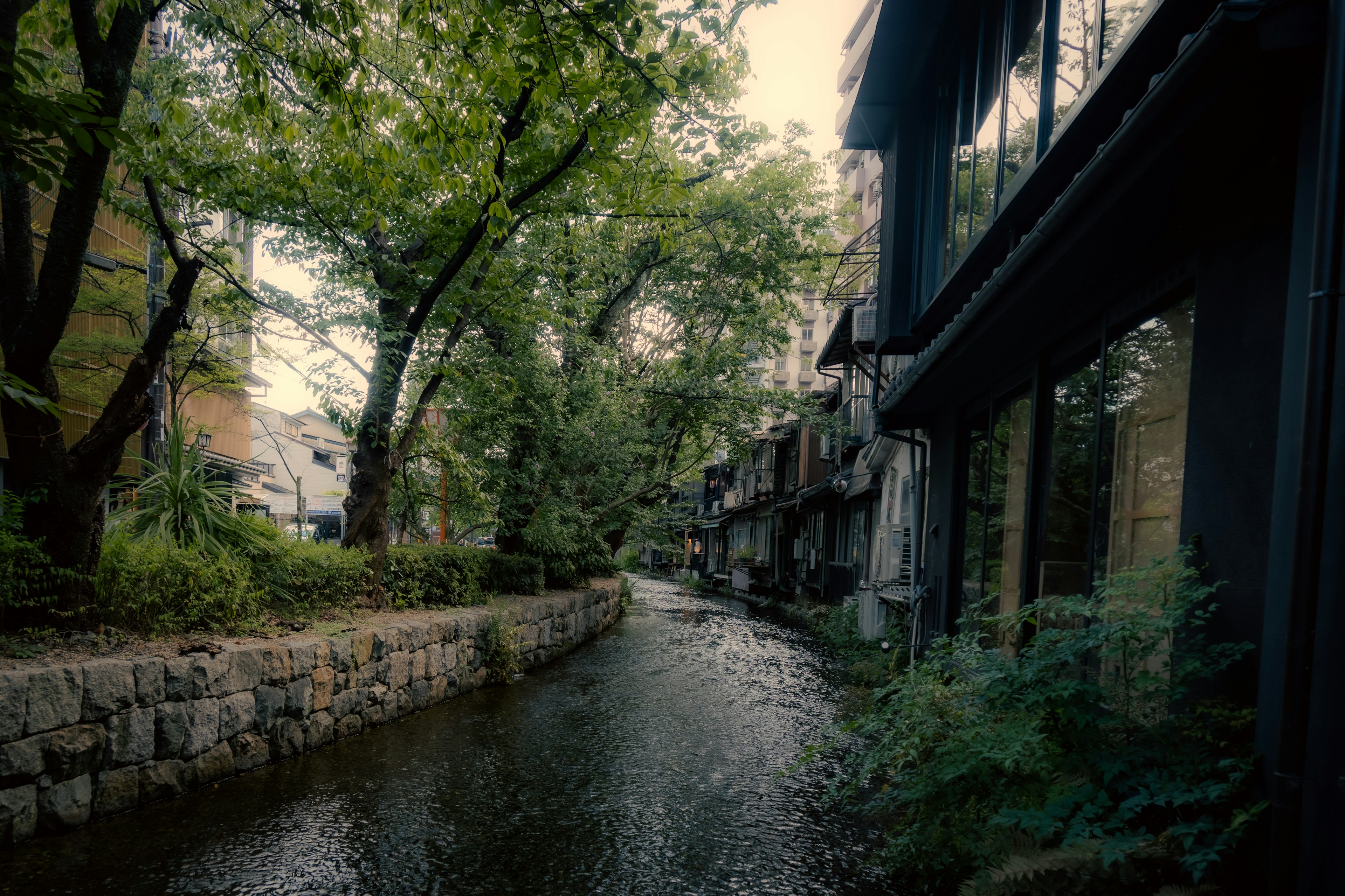 Tranquil canal scene with lush trees and historic buildings