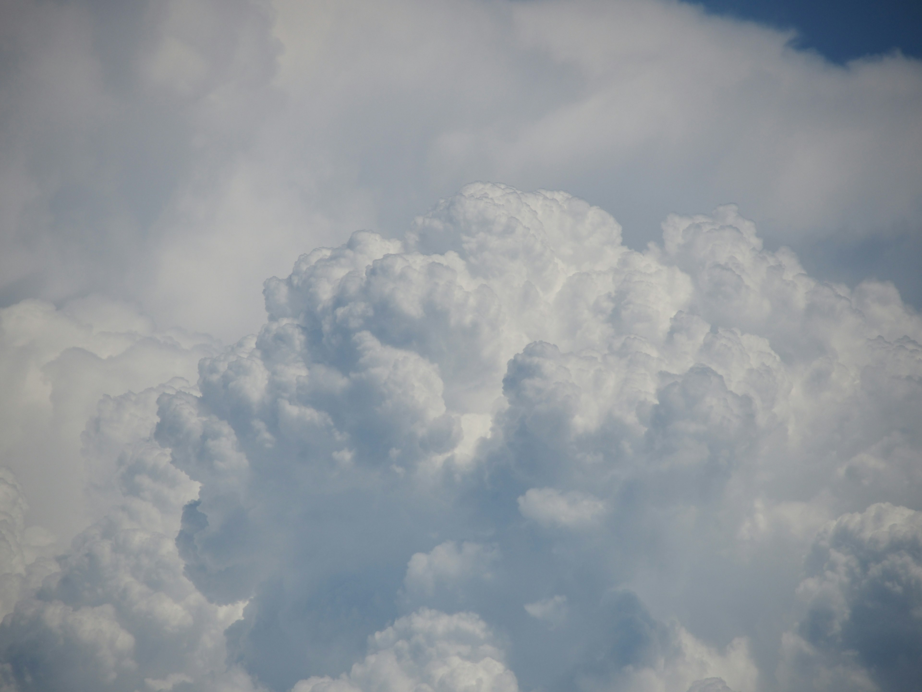 Nubes blancas esponjosas agrupadas en un cielo azul