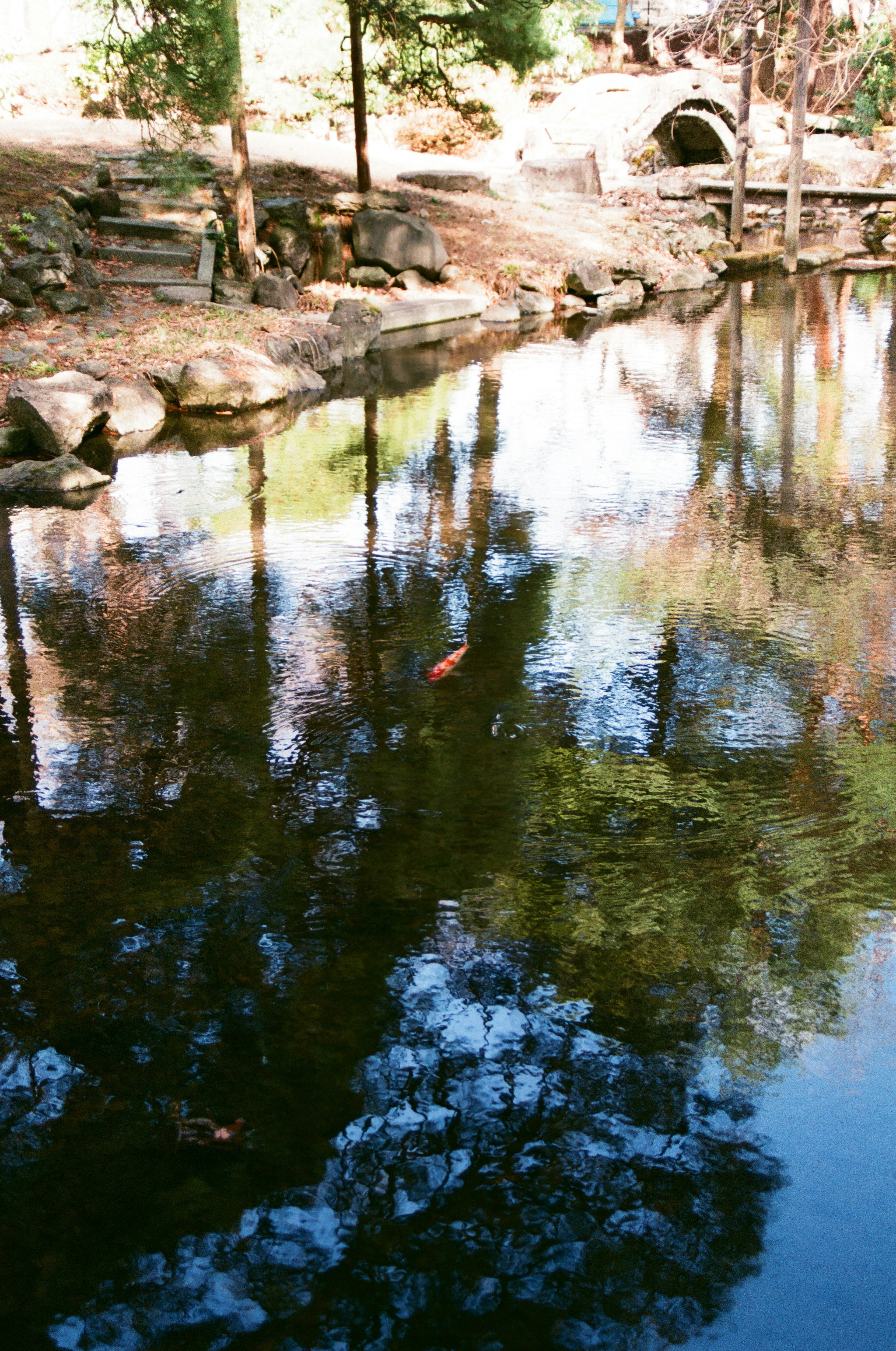 Calm pond reflecting trees and a stone bridge