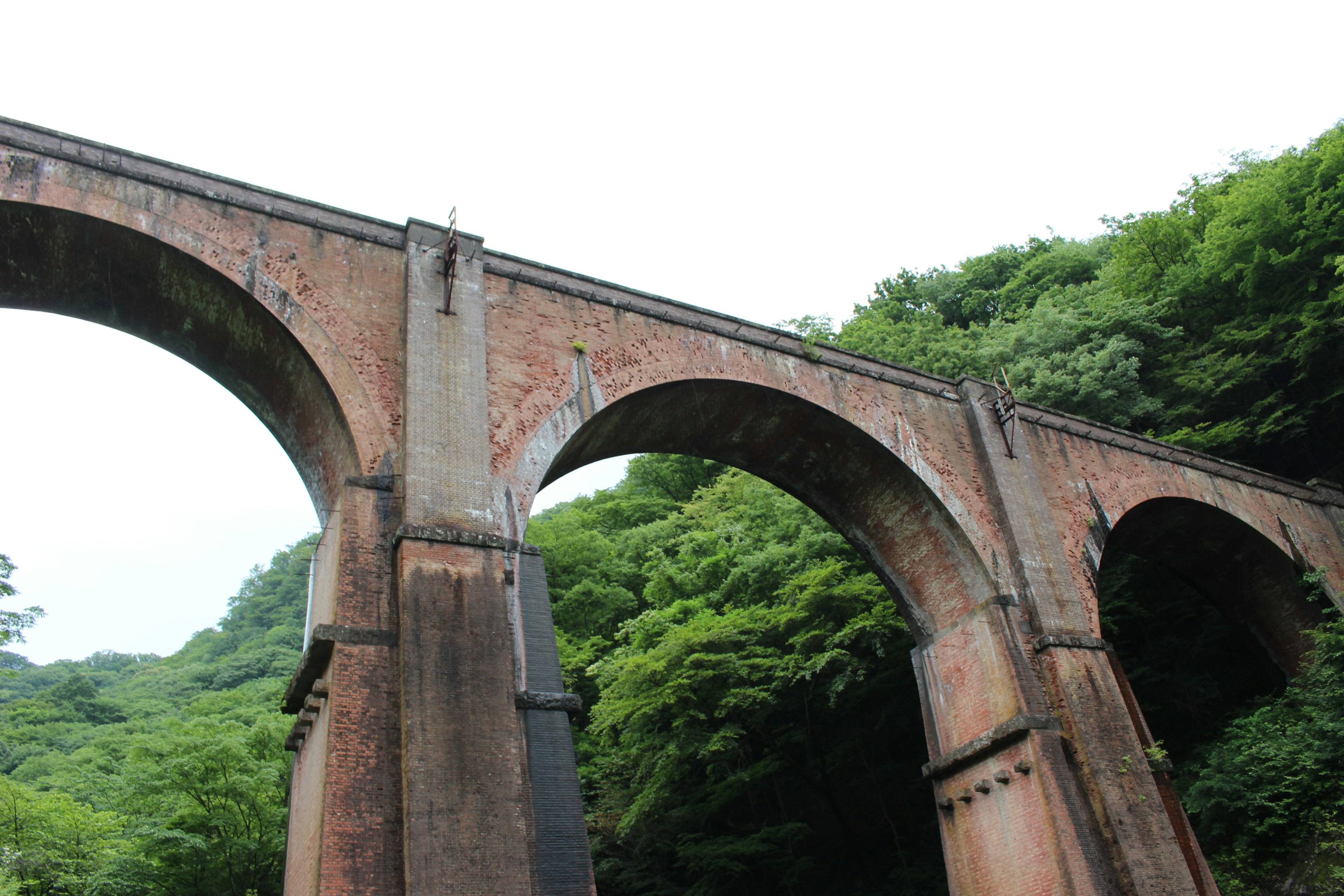 Ponte ad arco in mattoni circondato da vegetazione lussureggiante