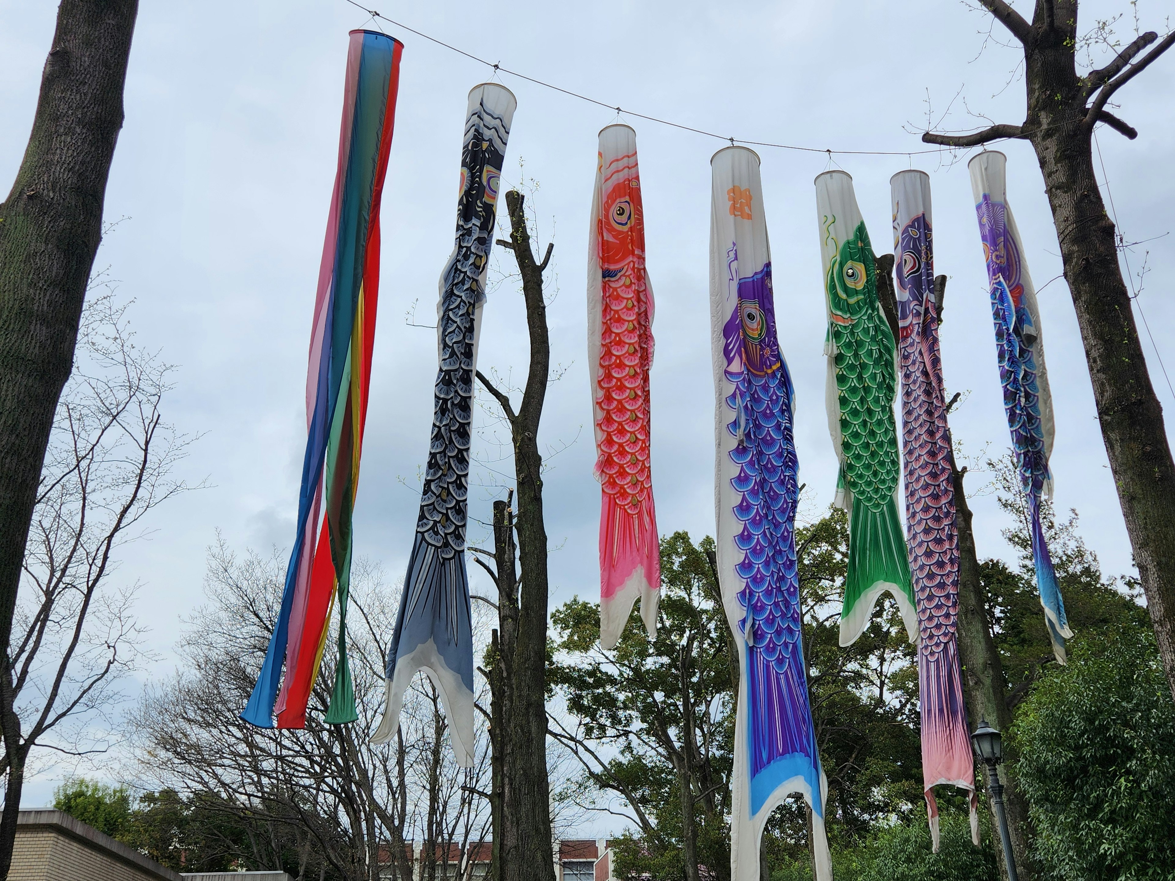 Des koi nobori colorés suspendus entre des arbres dans un paysage japonais