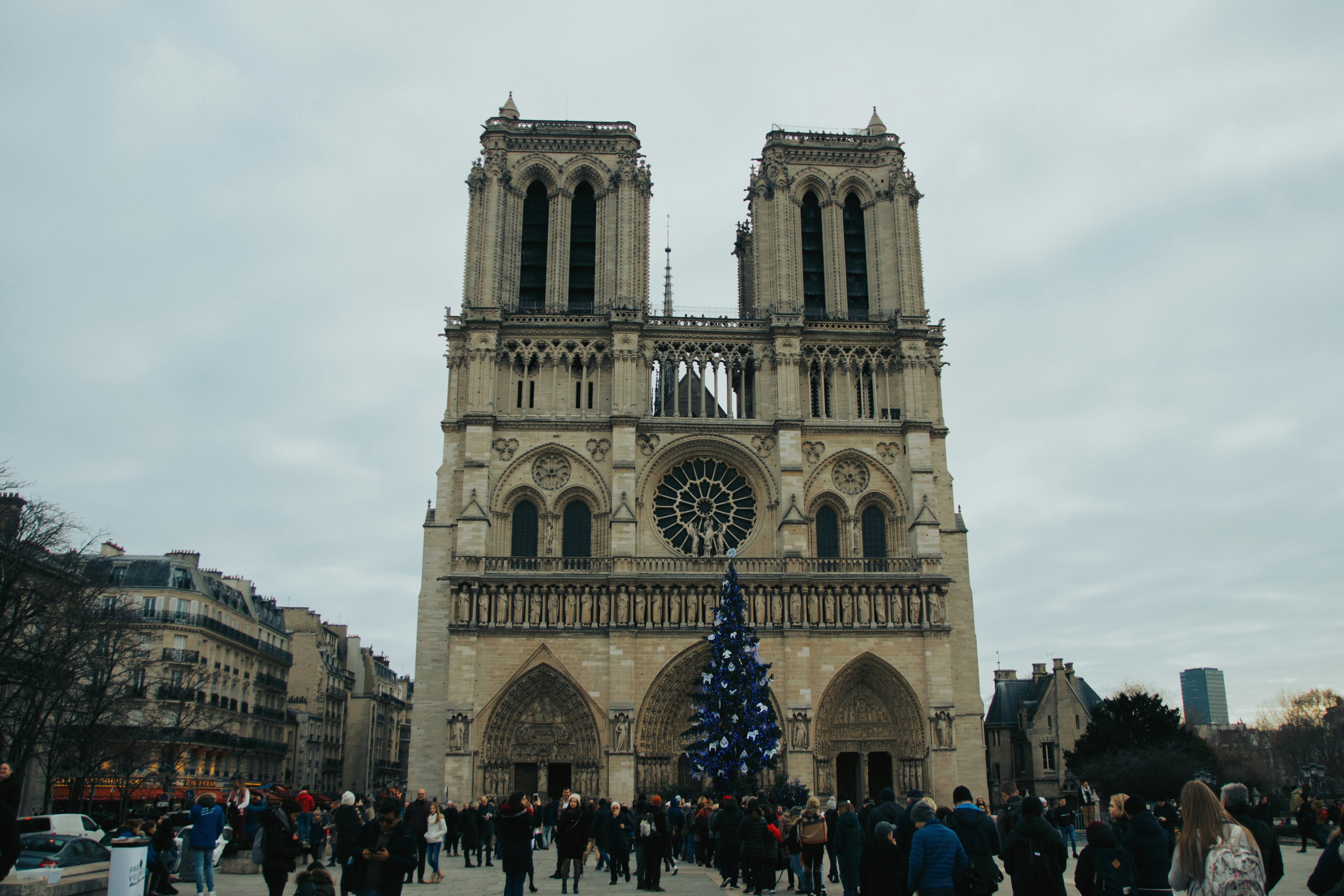 People gathered in front of Notre-Dame Cathedral with a Christmas tree