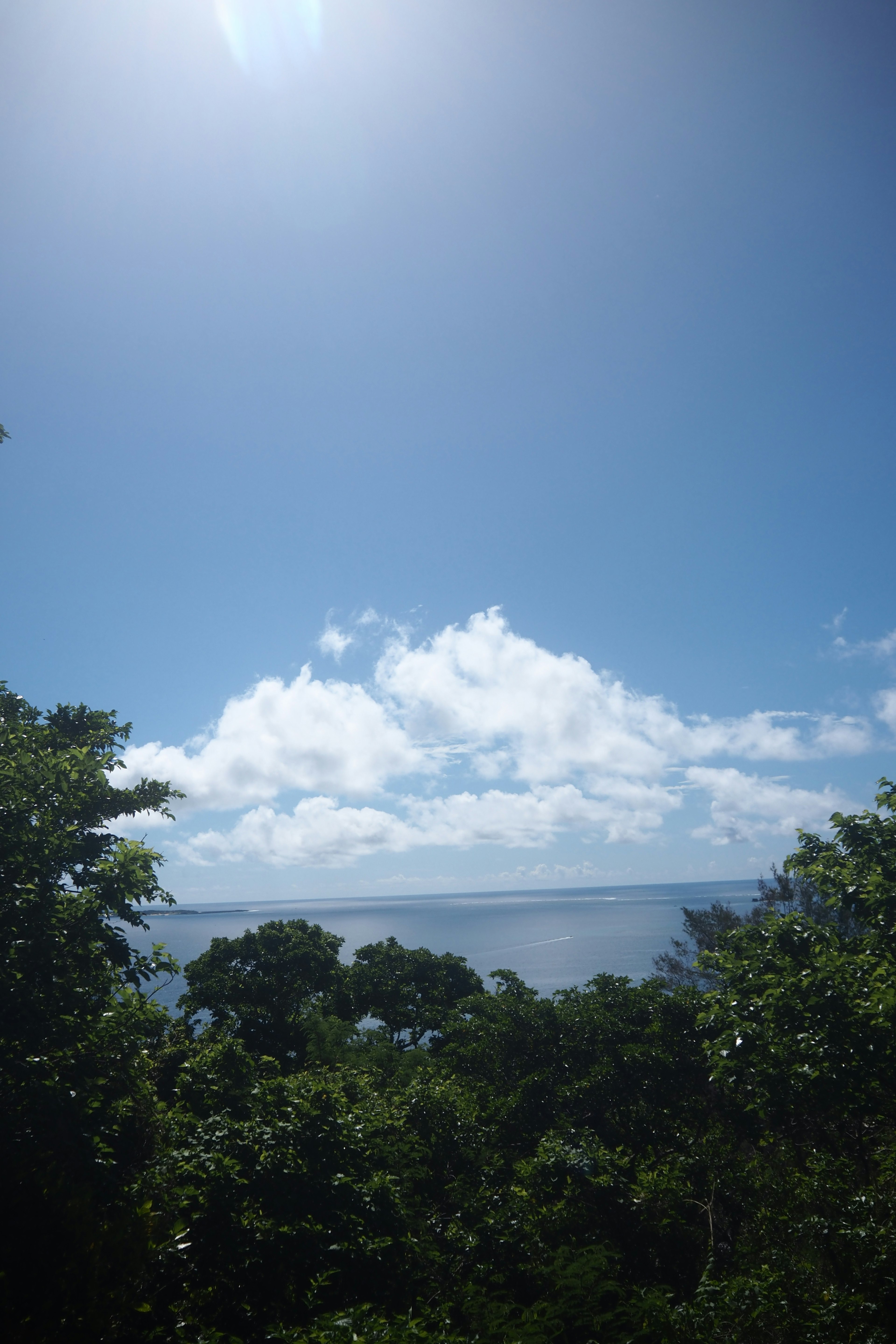 Vast blue sky with clouds over the ocean surrounded by lush greenery