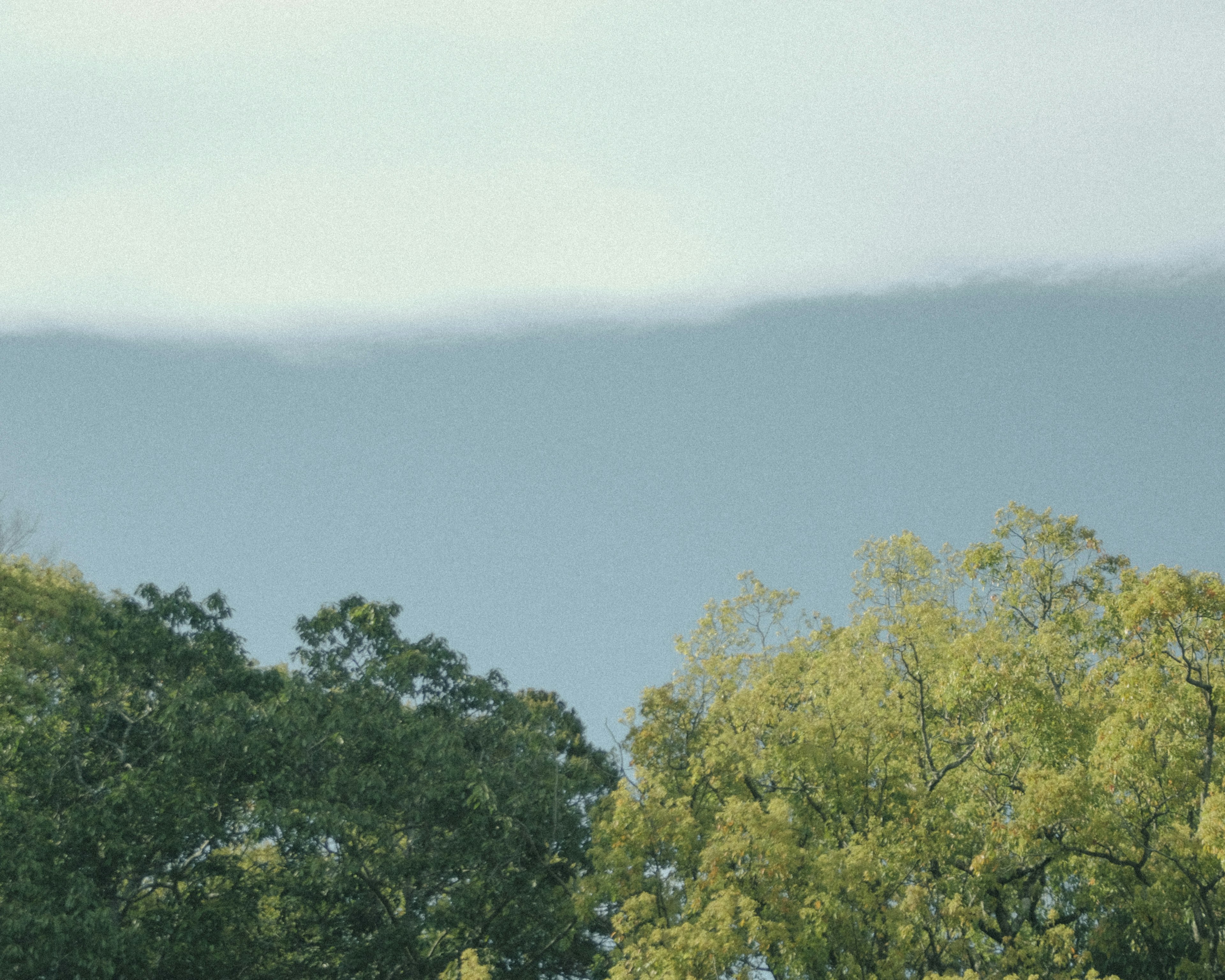 Landschaft mit grünen Bäumen und blauen Bergen im Hintergrund