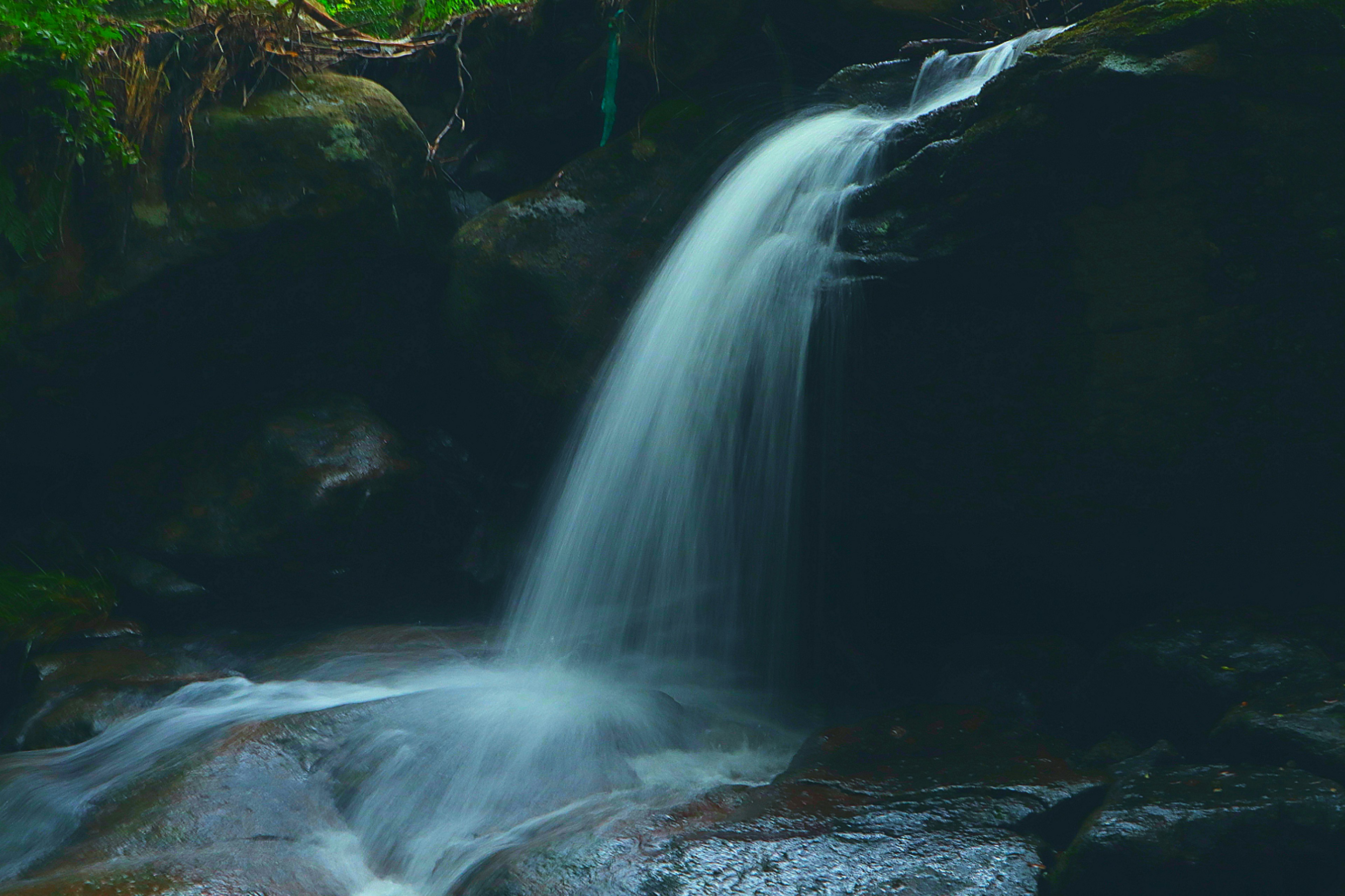 Ein ruhiger Wasserfall, der durch üppiges Grün fließt