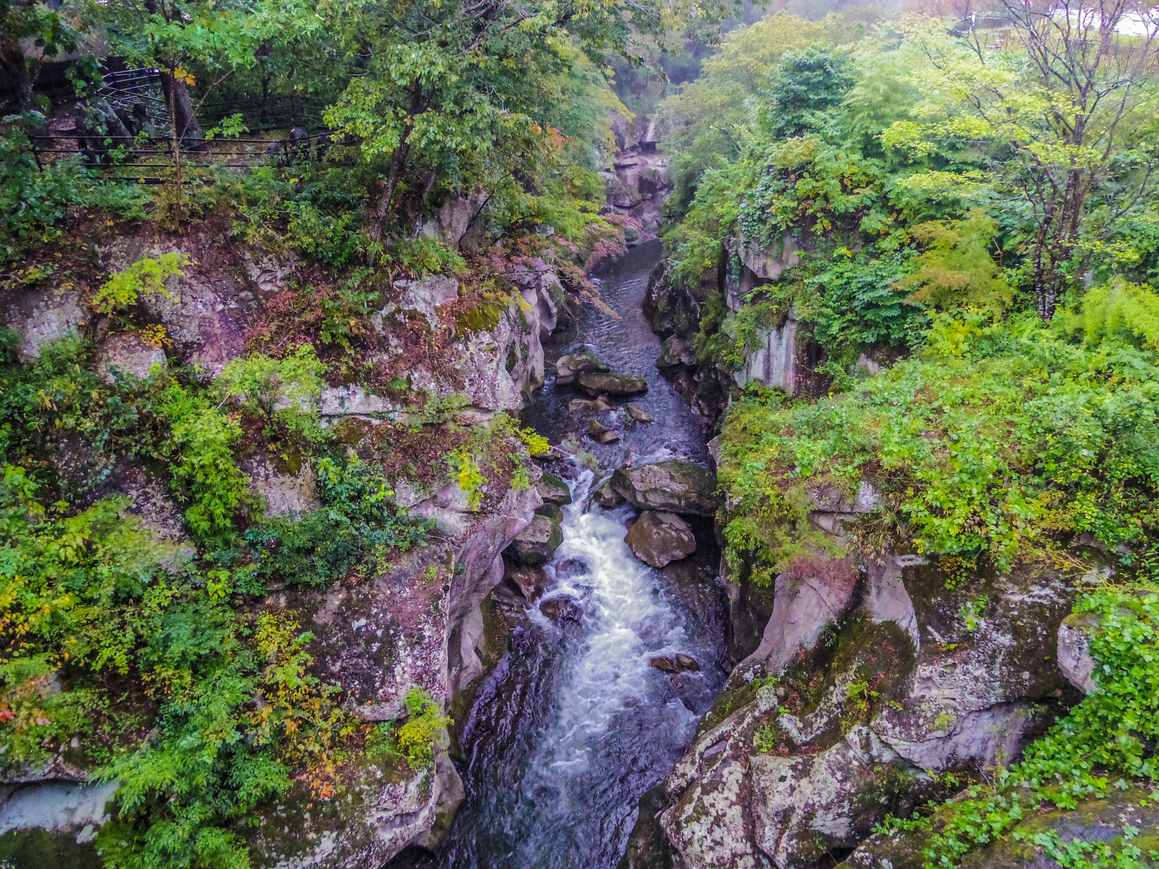 Scenic view of a stream surrounded by lush greenery and rocky cliffs