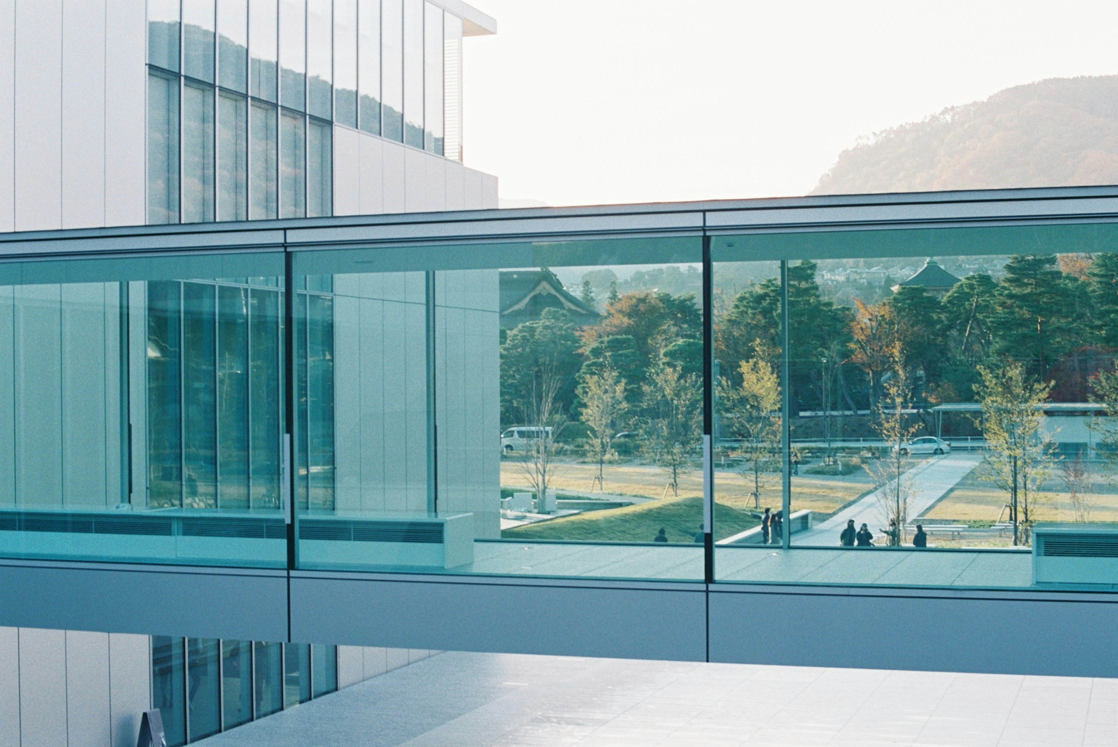 Modern glass walkway connecting buildings with surrounding greenery