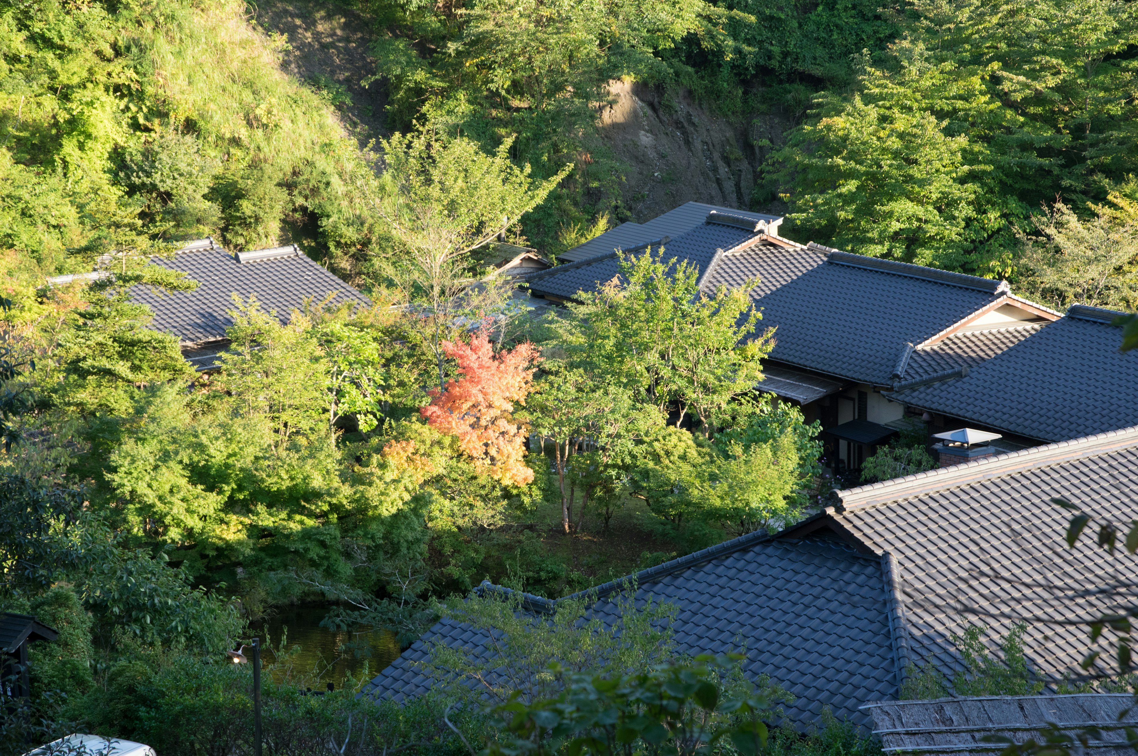 Una vista escénica de casas japonesas tradicionales rodeadas de vegetación exuberante