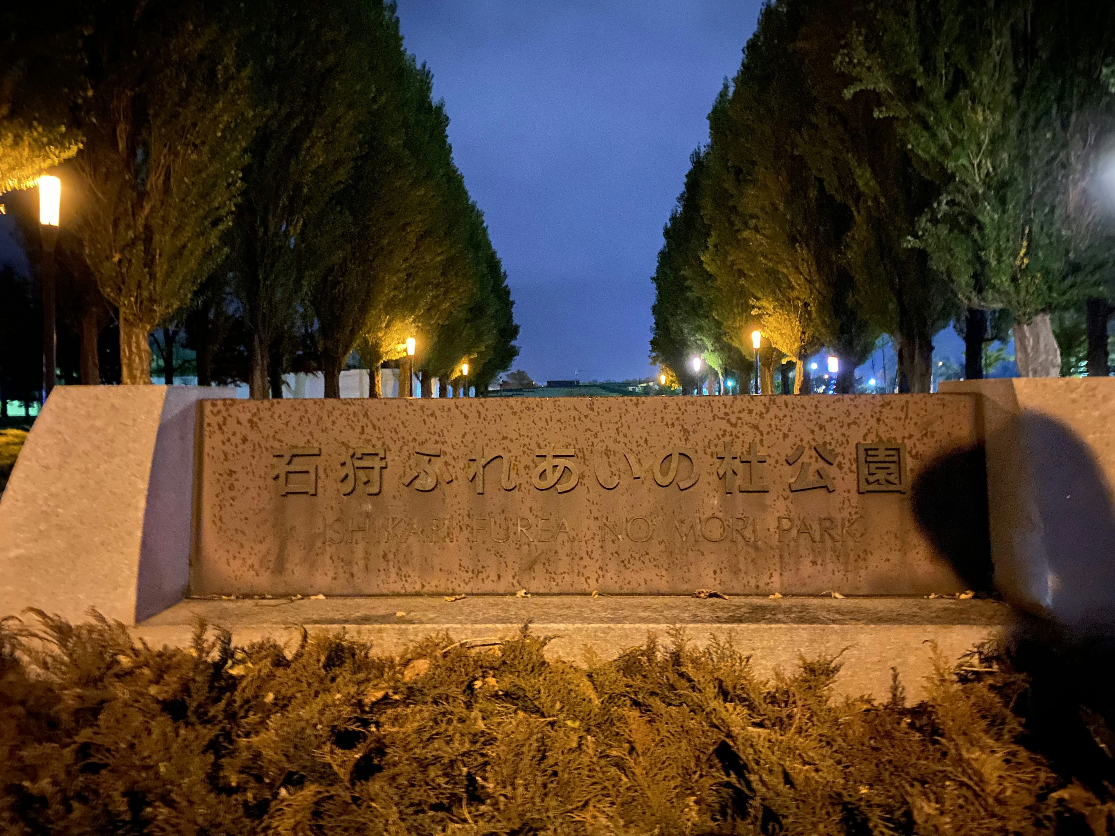 Monumento de piedra en un parque por la noche con farolas alineadas