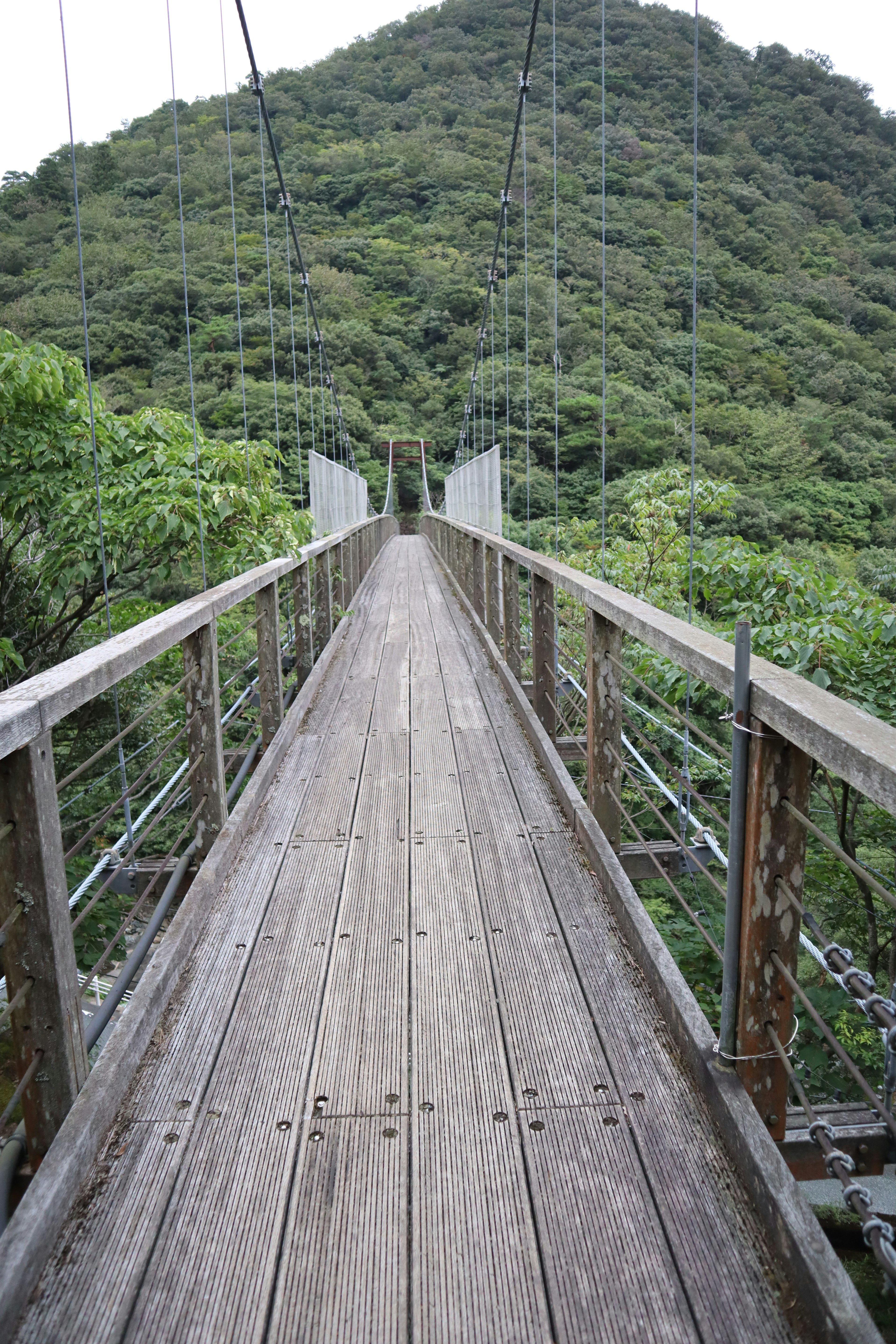 Wooden suspension bridge leading into a green mountain landscape