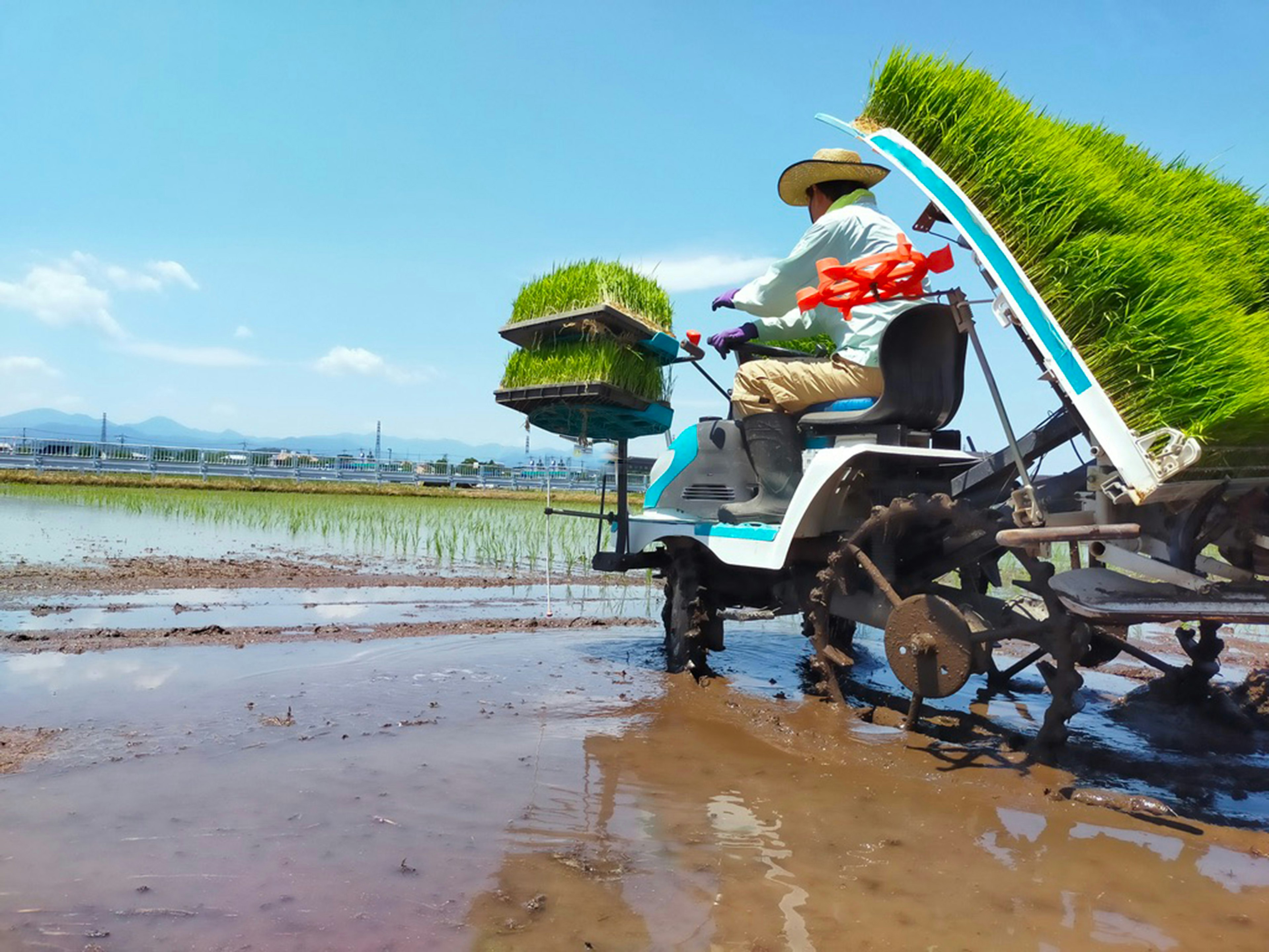 田んぼで稲を植える農機具を操作する農夫