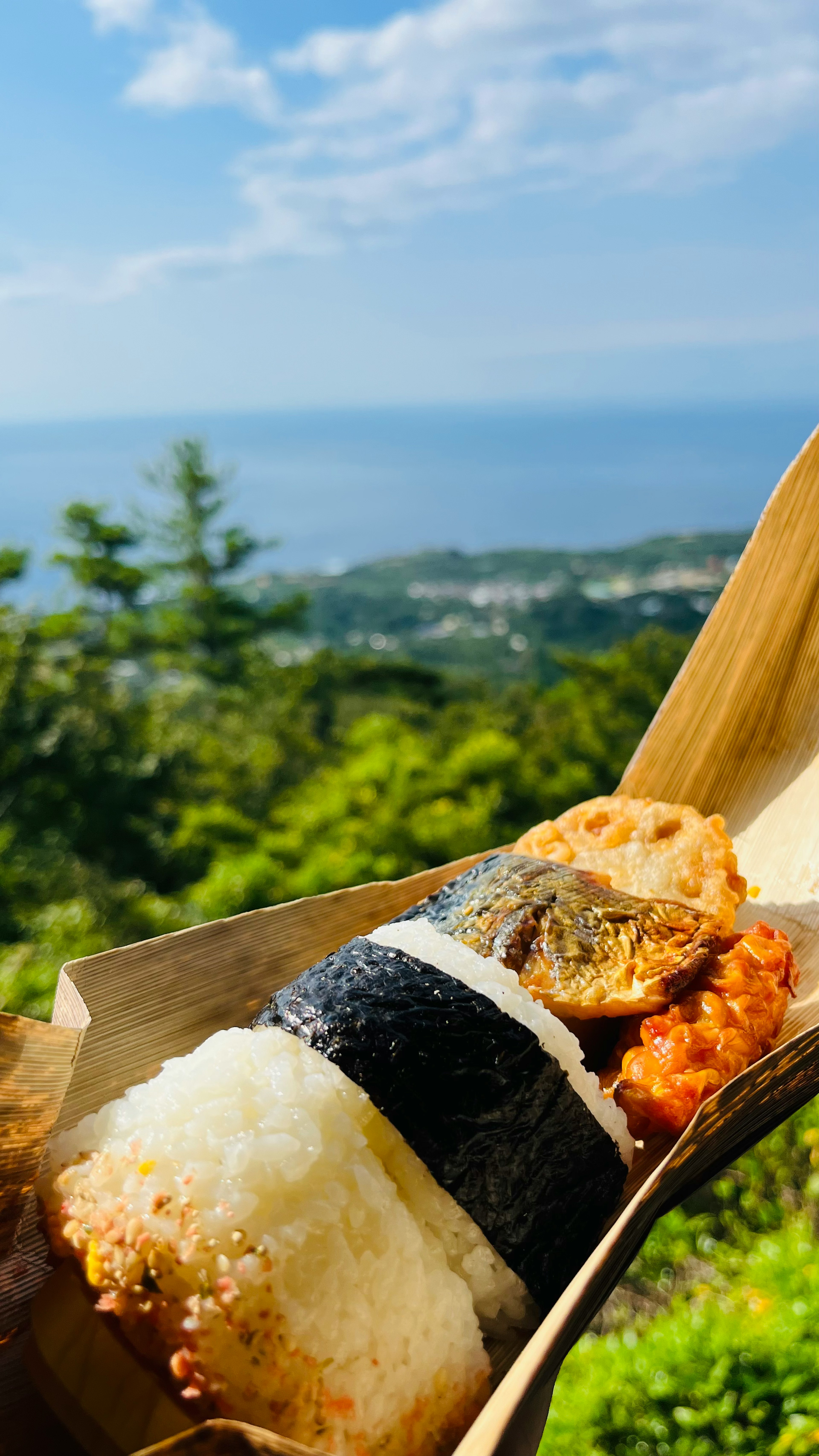 Rollo de sushi y bola de arroz con vista al mar de fondo