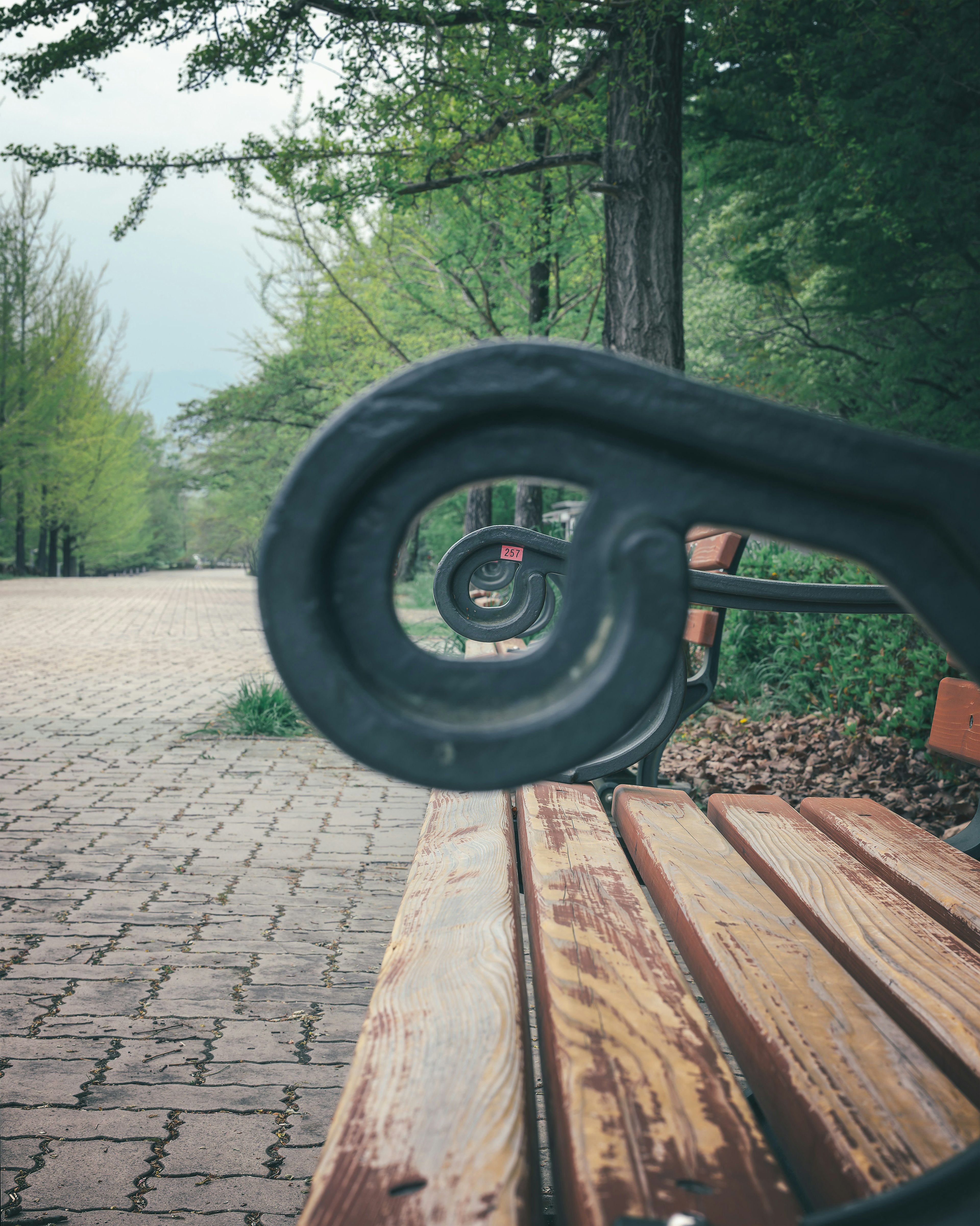 Un design unique du dossier d'un banc de parc avec une perspective profonde