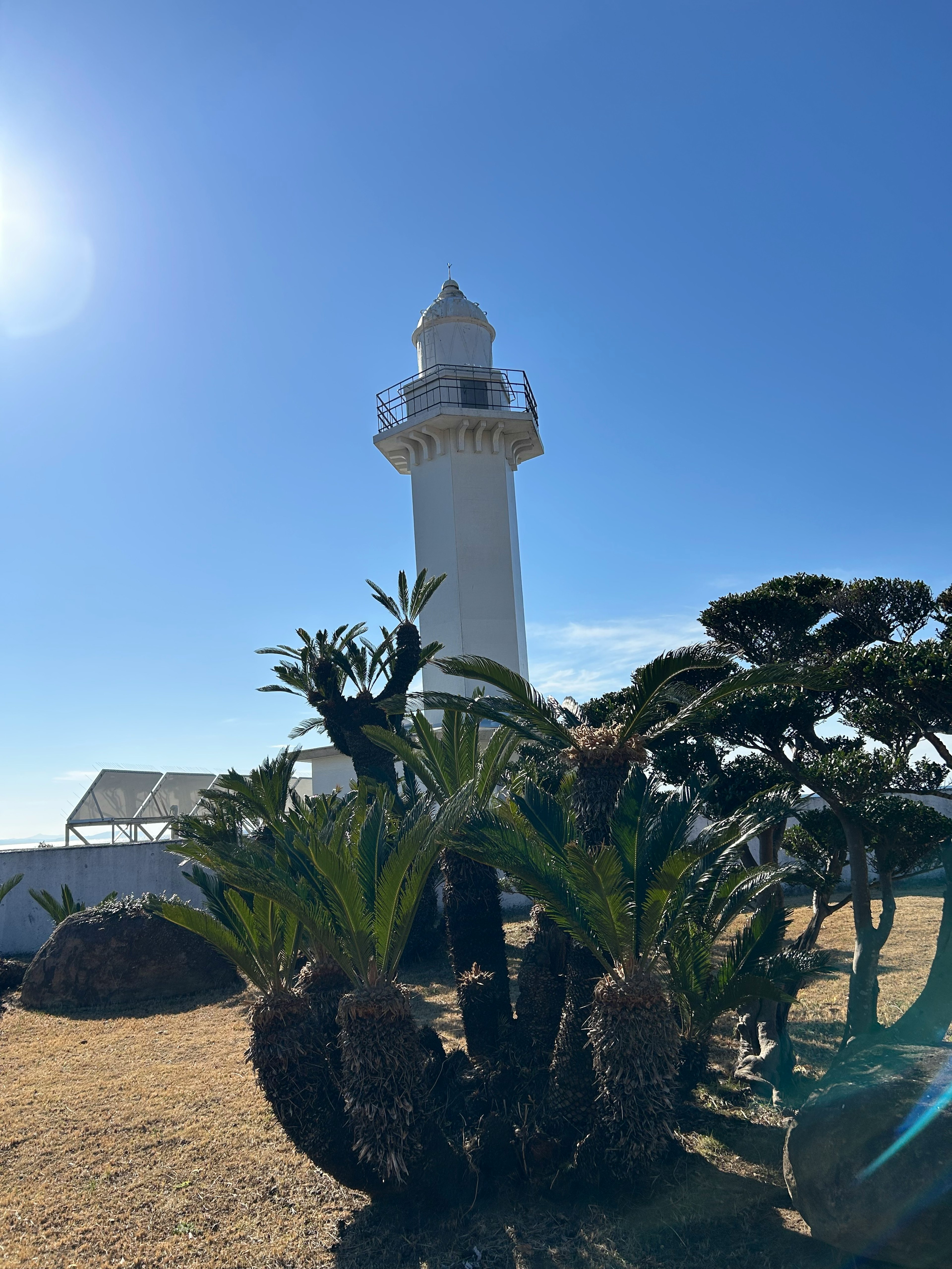 Phare blanc entouré de plantes sous un ciel bleu clair