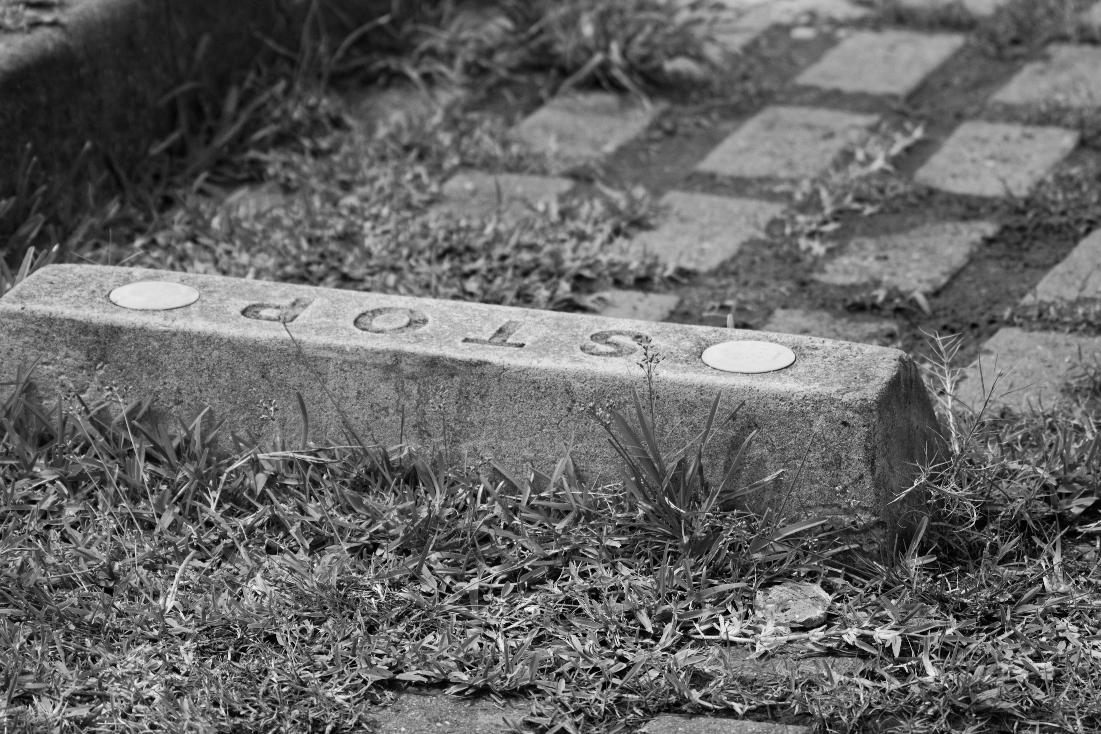 A fallen stop sign partially covered by grass