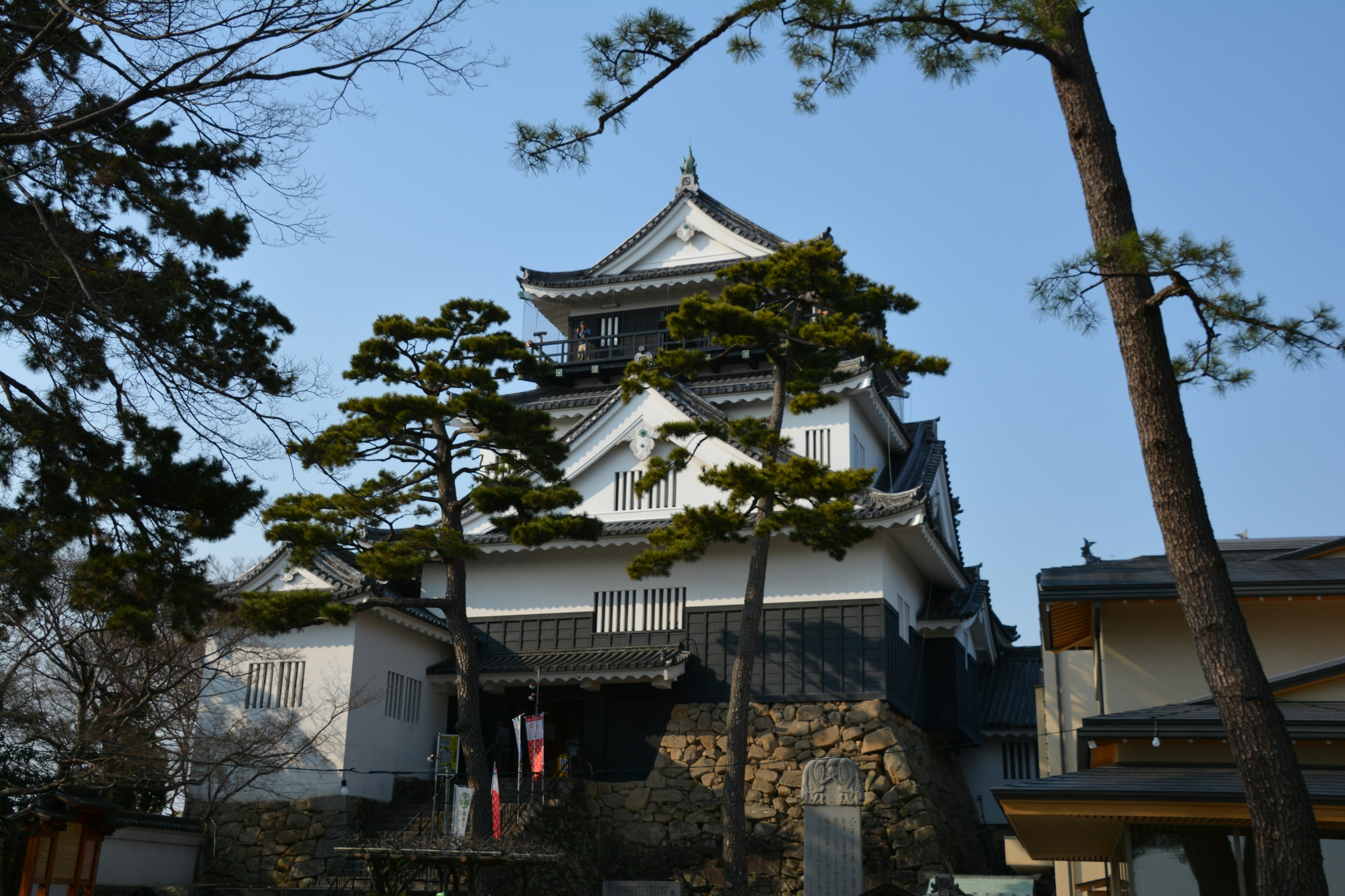 Extérieur d'un château japonais avec des murs blancs et des pins