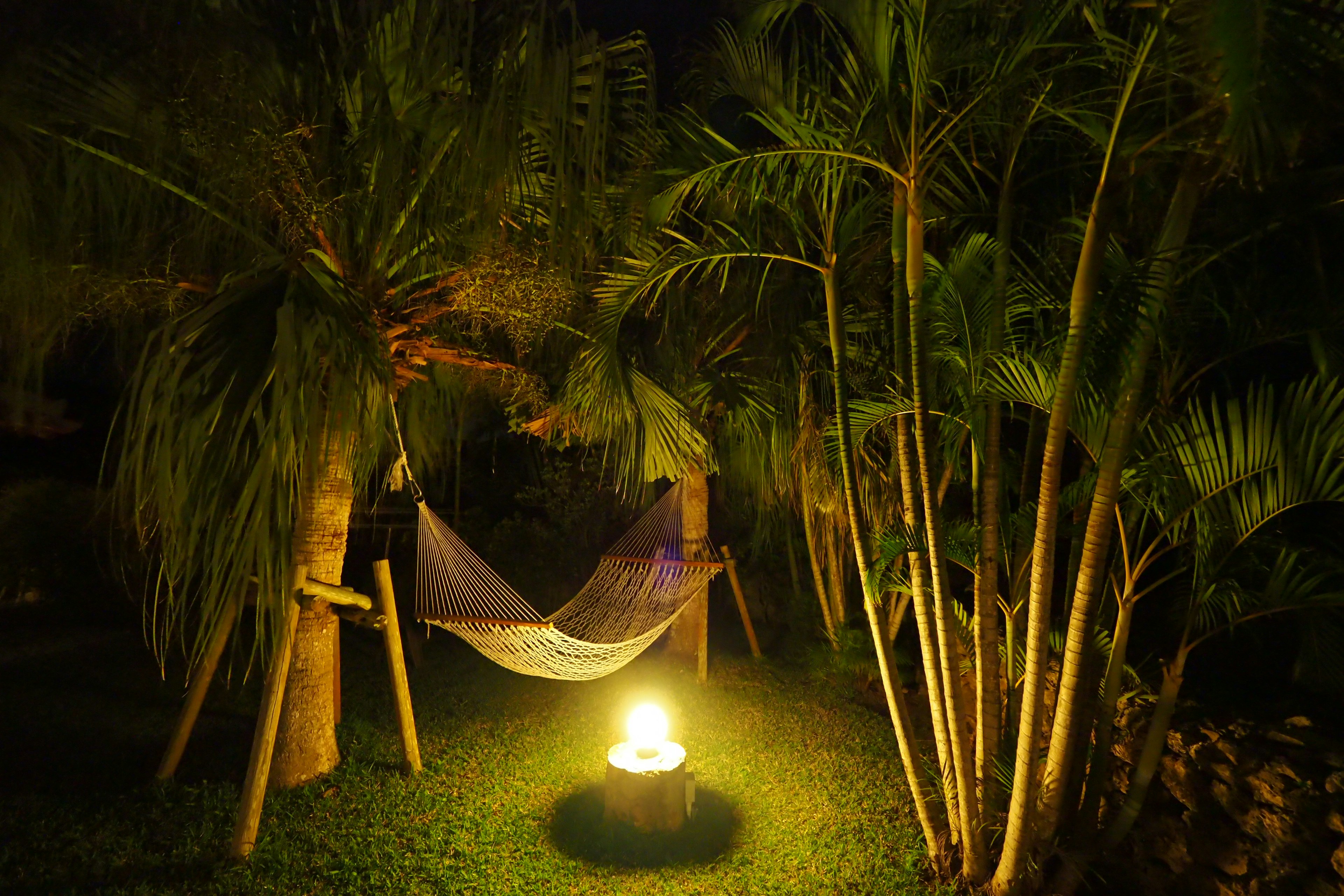 Tropischer Garten bei Nacht mit einer Hängematte und einem Lagerfeuer