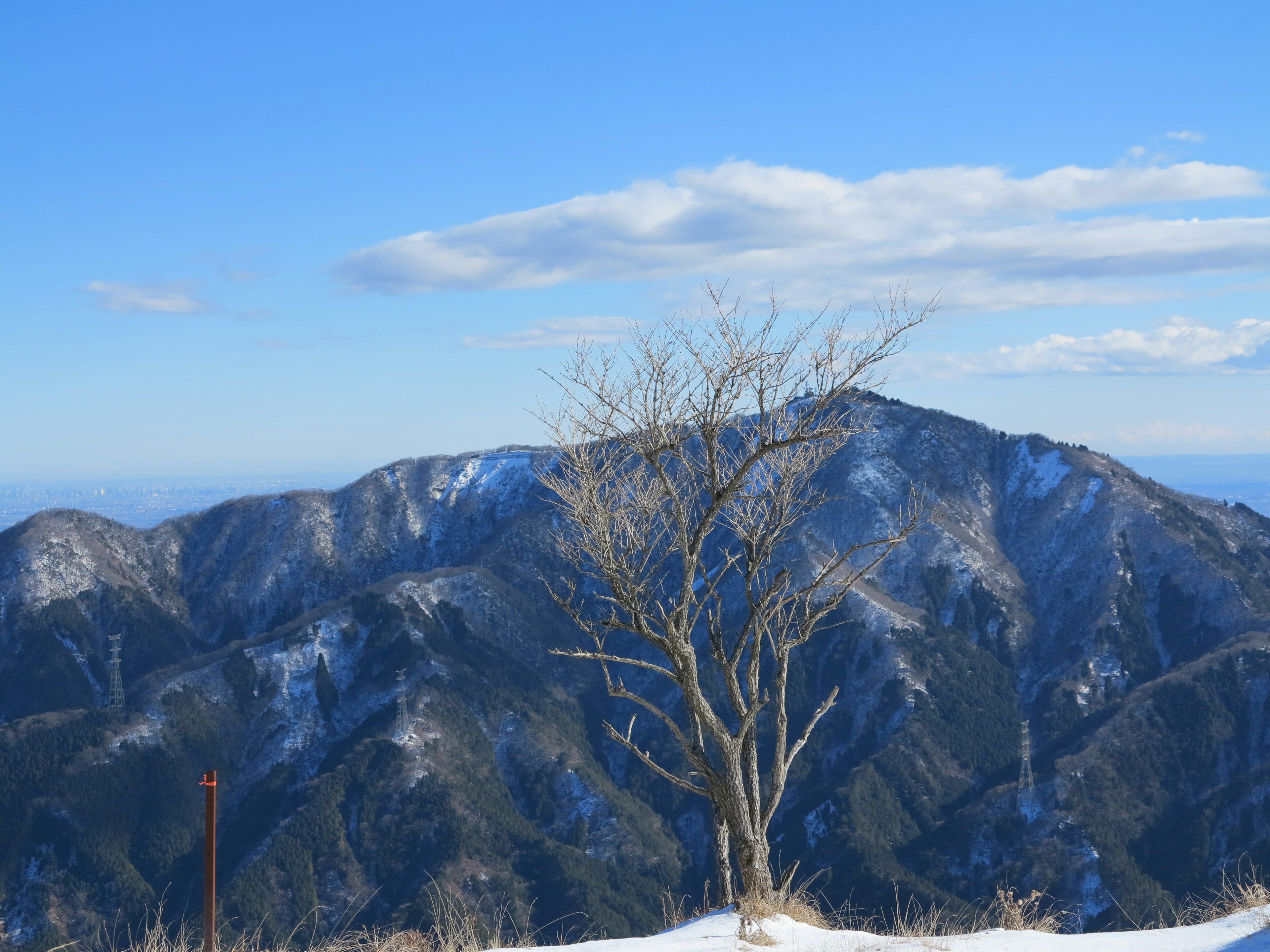 Ein einzelner Baum steht auf schneebedeckten Bergen unter einem blauen Himmel