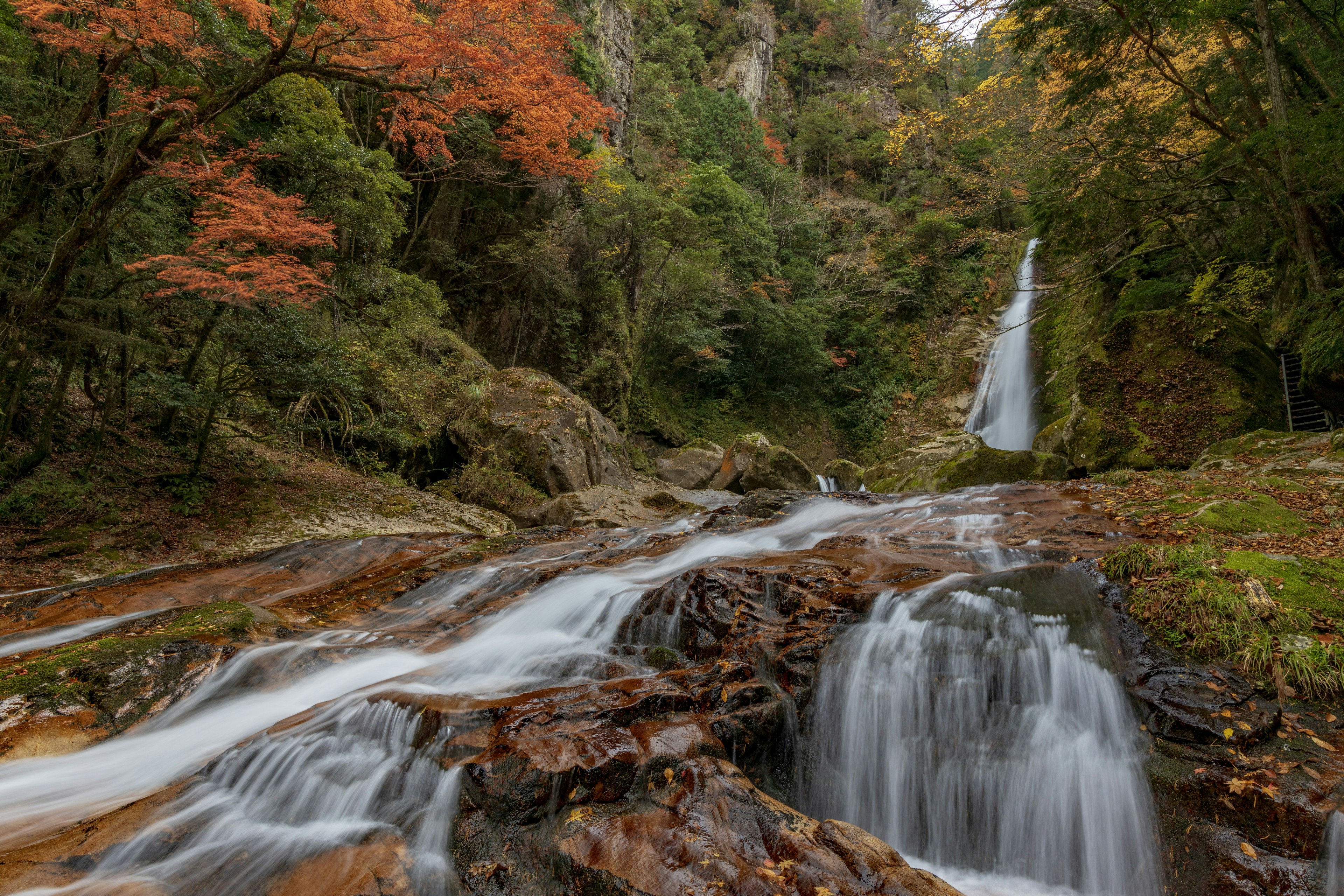 Pemandangan air terjun yang indah dengan dedaunan musim gugur dan air mengalir