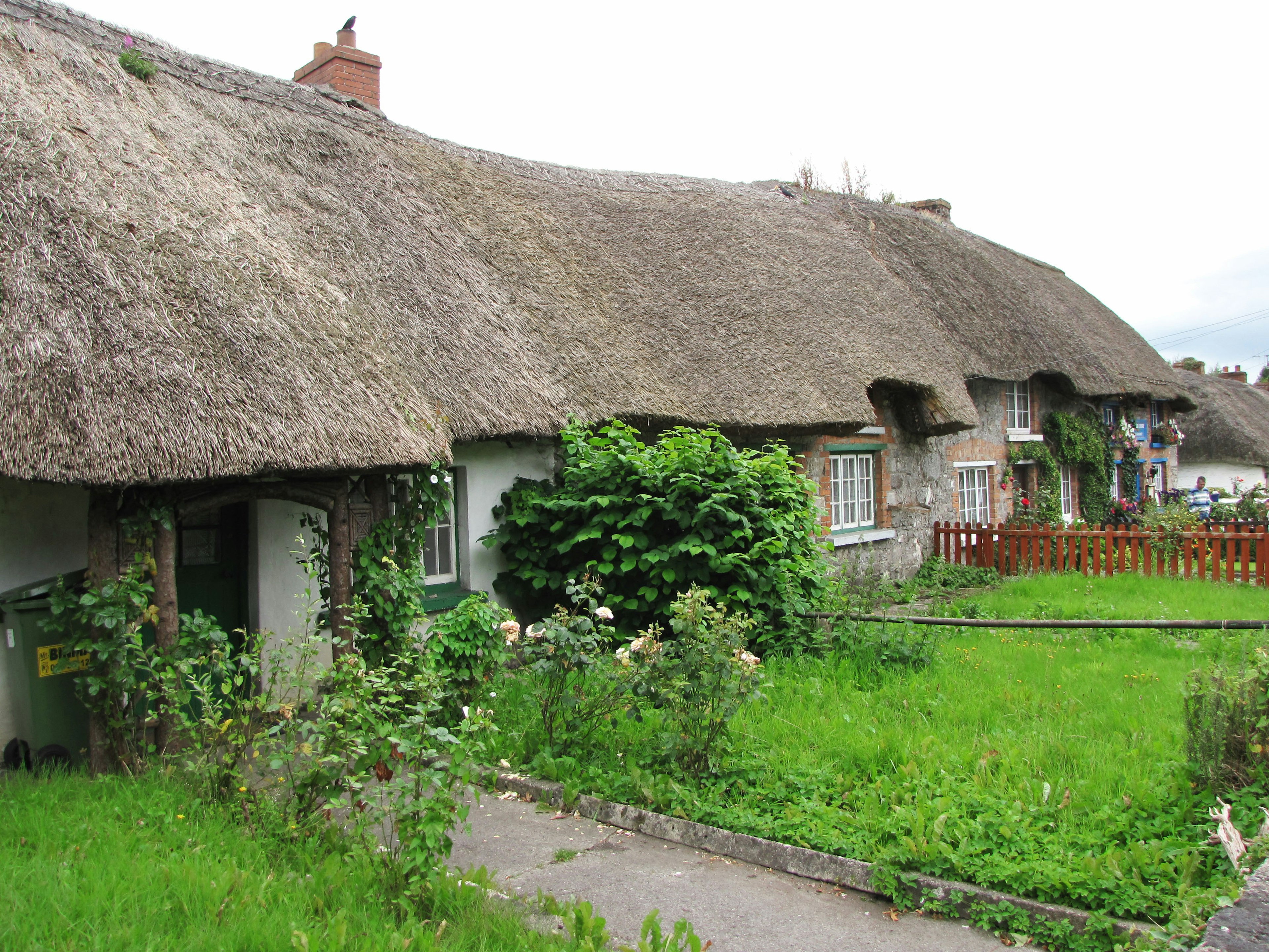 Traditional thatched-roof cottages lined along a grassy area