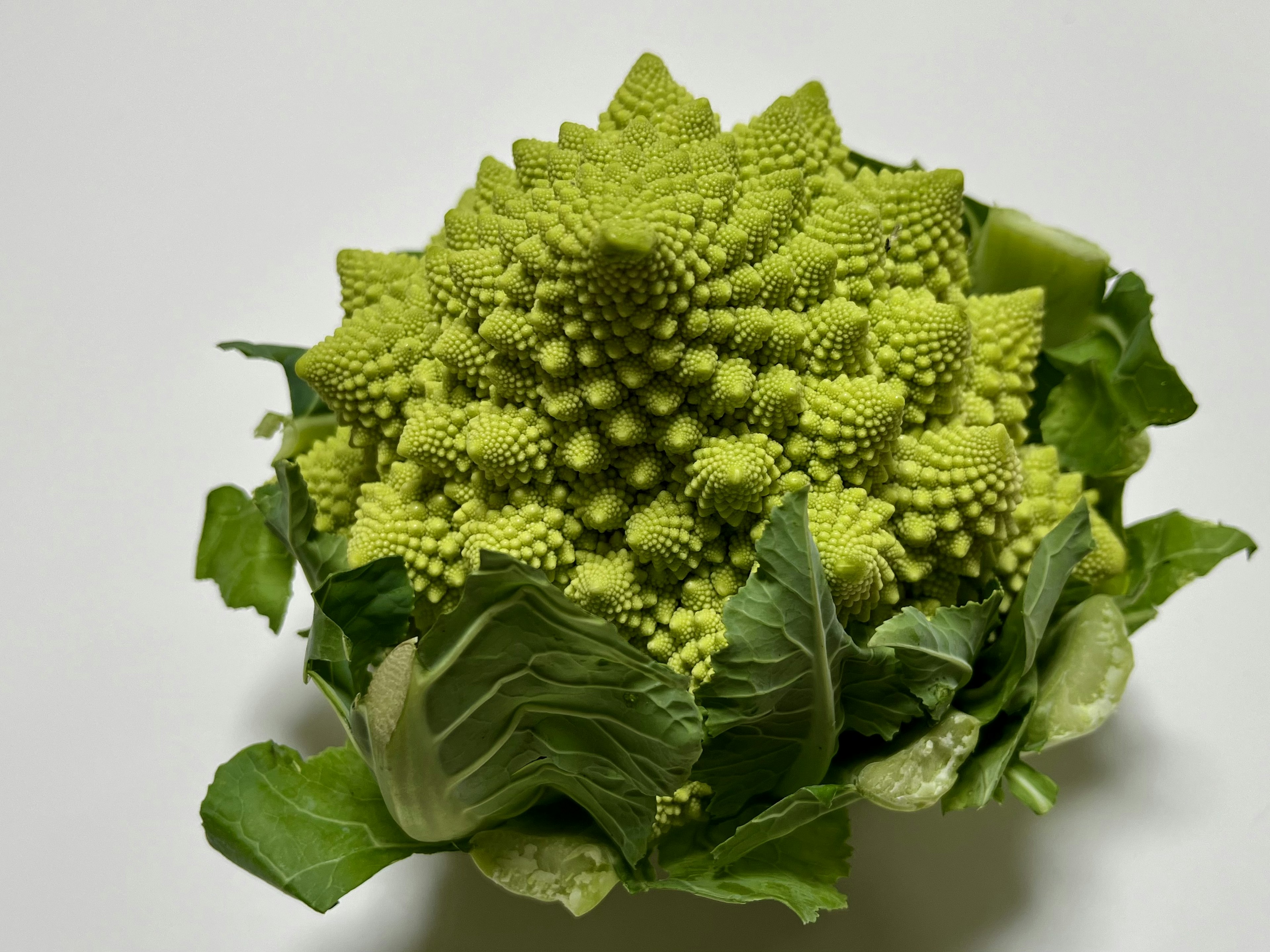 Romanesco hijau cerah dengan pola fraktal unik